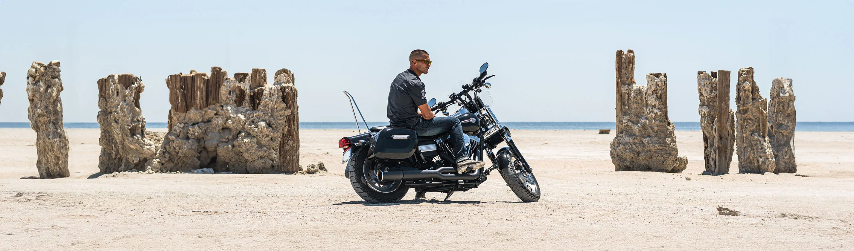 Harley Dyna Super Glide Custom FXDC/I (2005-2014) Sissy Bars Banner