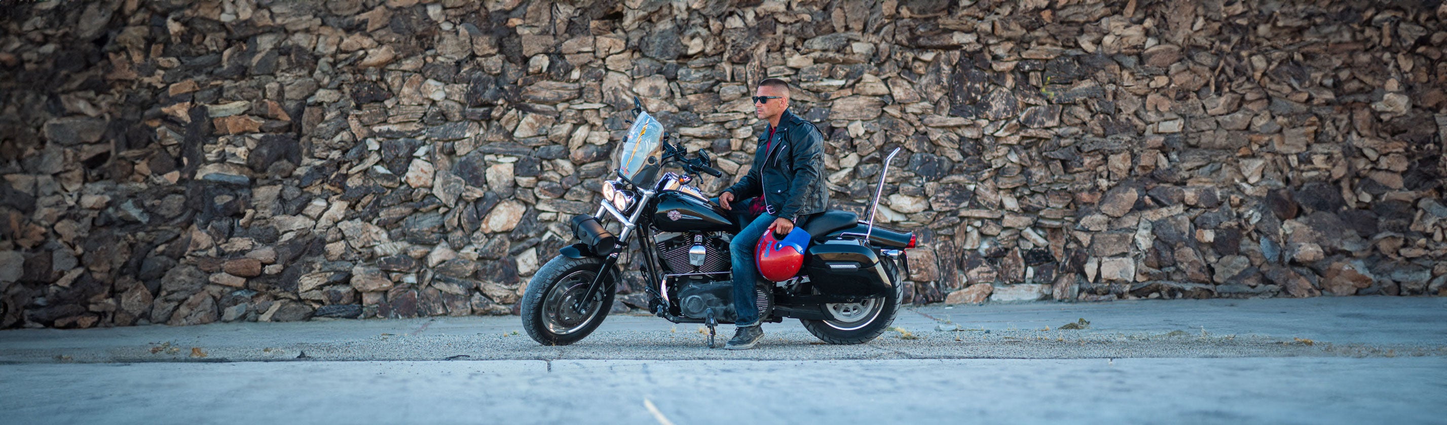 Harley Davidson Dyna Switchback FLD Sissy Bars