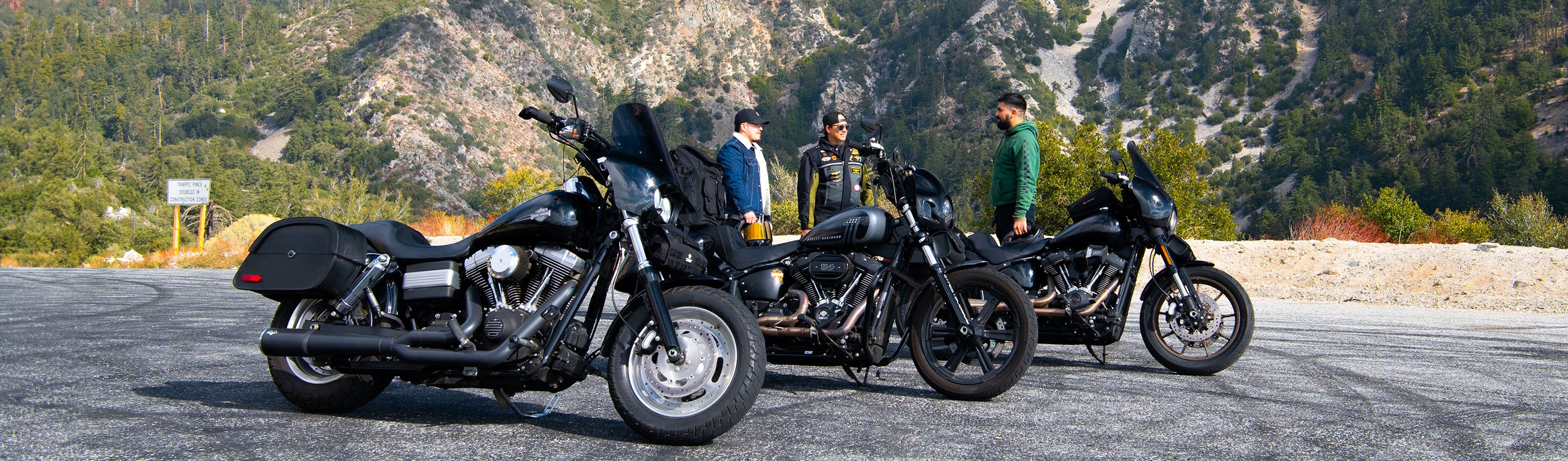 Harley Davidson Softail Fat Boy Lo FLSTFB Sissy Bars