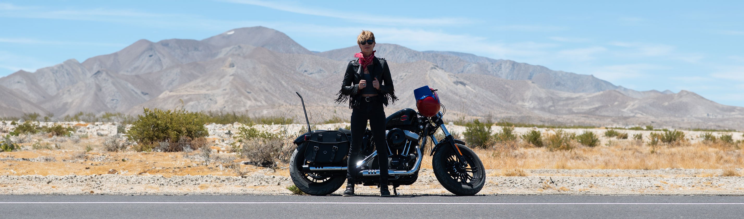 Harley Davidson Sportster 1200 Nightster XL1200N Sissy Bars