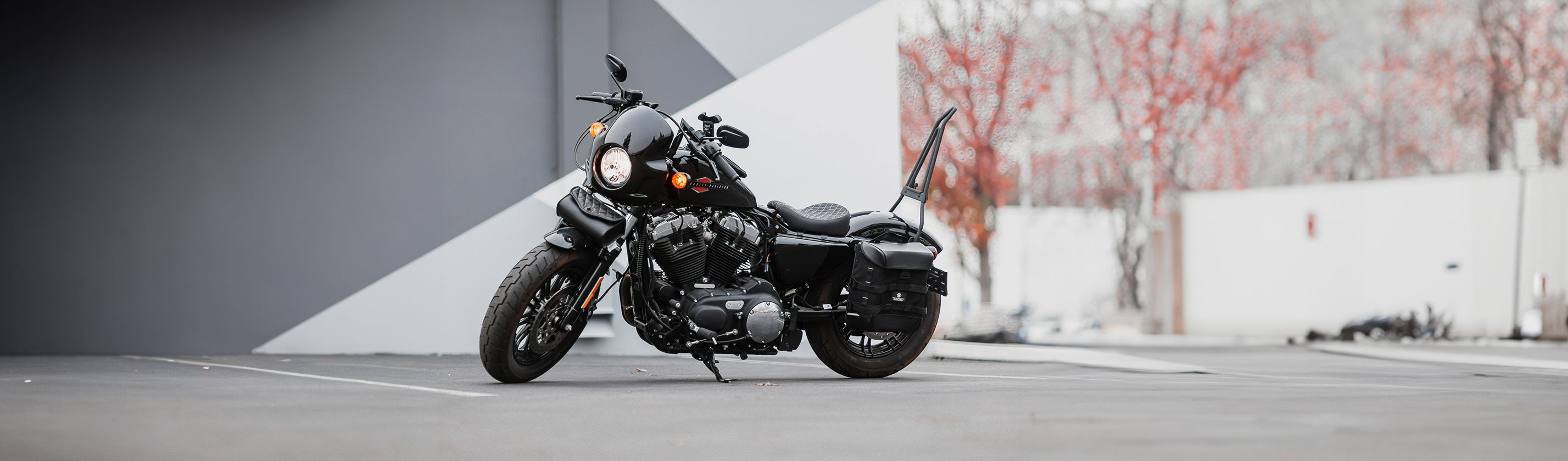 Harley Davidson Sportster Forty Eight 48 XL1200X Fairings