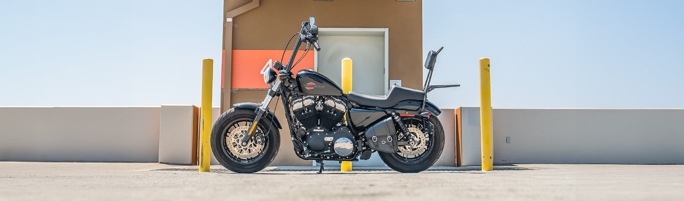 Harley Davidson Sportster Forty Eight 48 XL1200X Sissy Bars