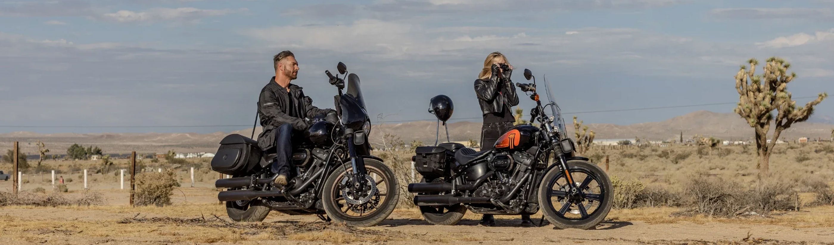 Swingarm Bags for Harley Davidson Motorcycles