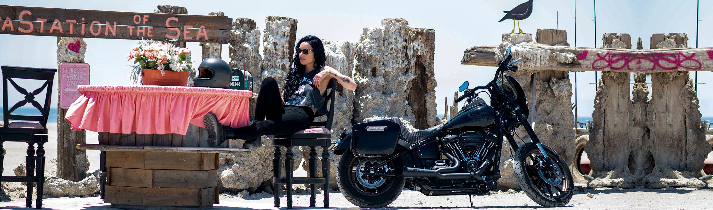 Indian Vintage Saddlebags