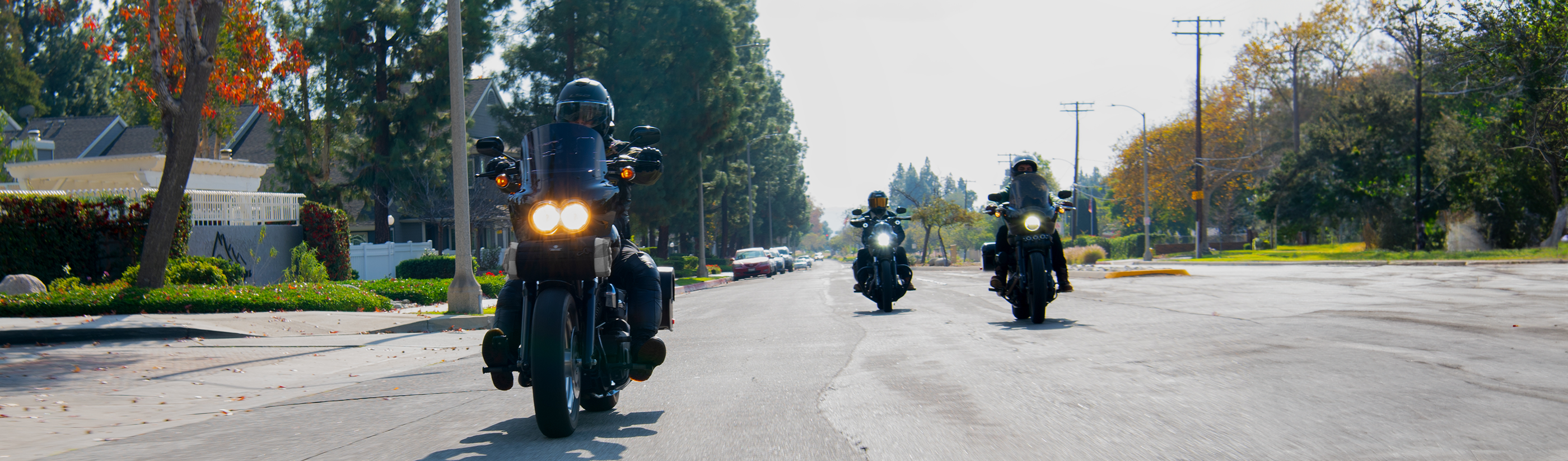 Kawasaki Vulcan 500 EN500 Saddlebags