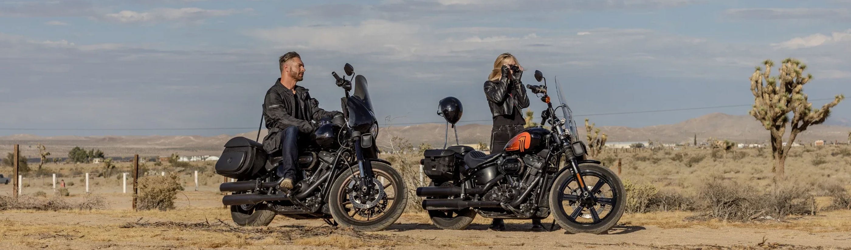 Motorcycle Chopper Saddlebags