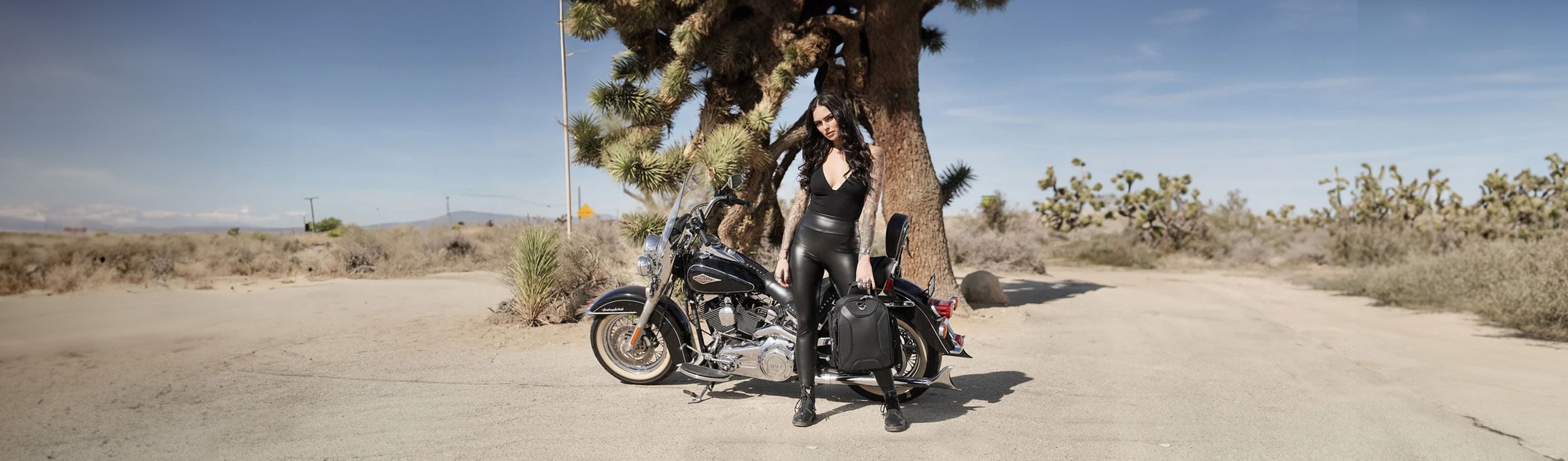 Motorcycle Sissy Bar Bags