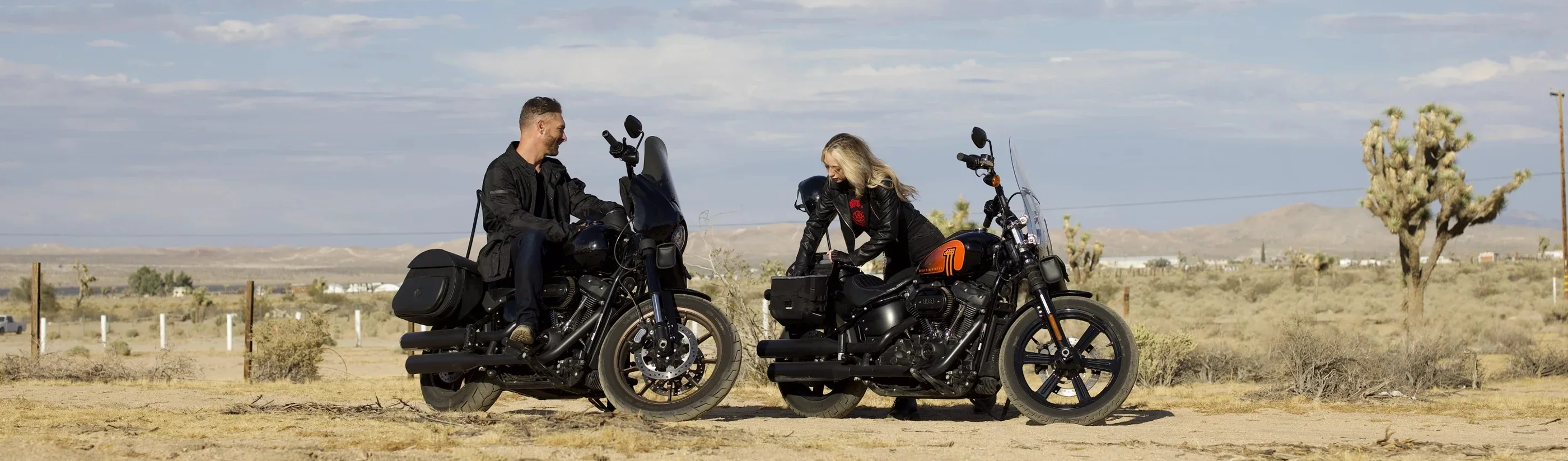 Scooter Saddlebags