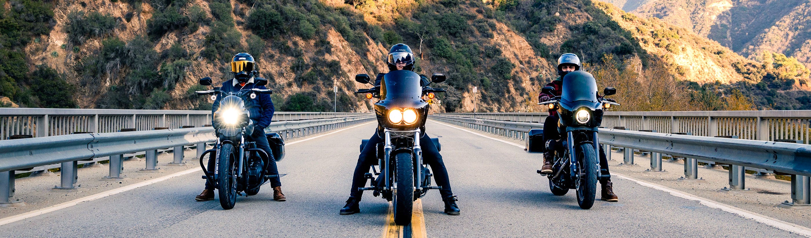 Suzuki Boulevard M50 VZ800 Saddlebags