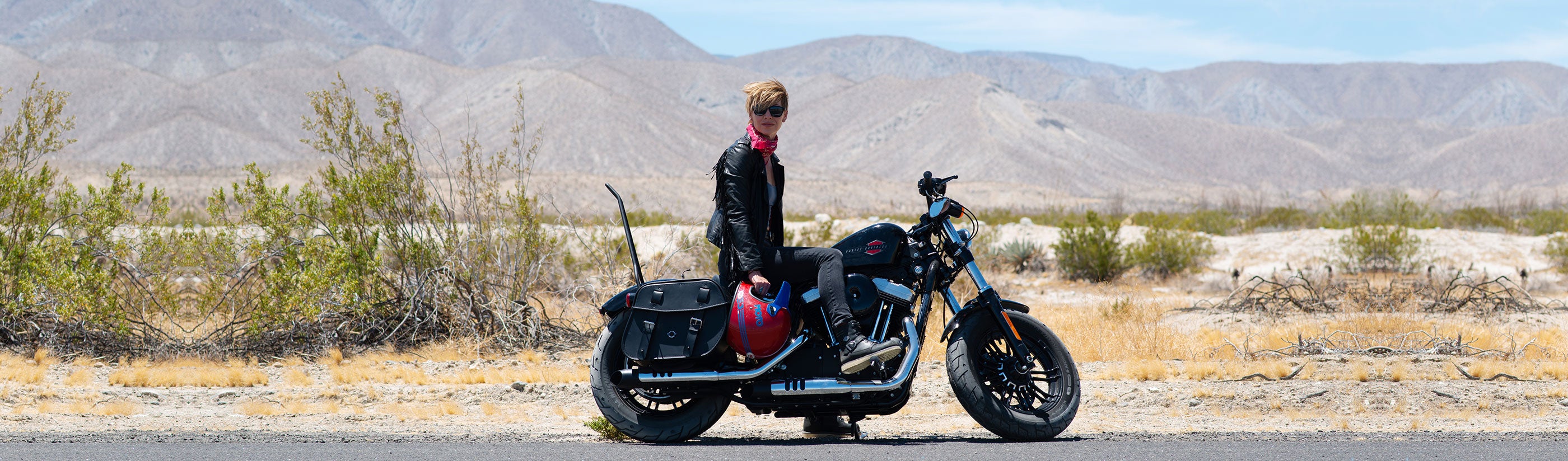 Triumph Rocket III Touring Saddlebags