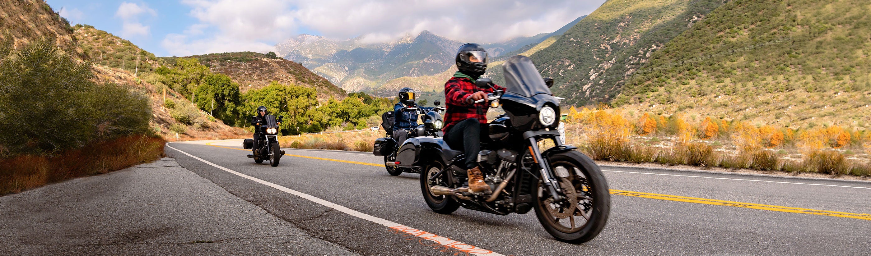 Victory Boardwalk Saddlebags