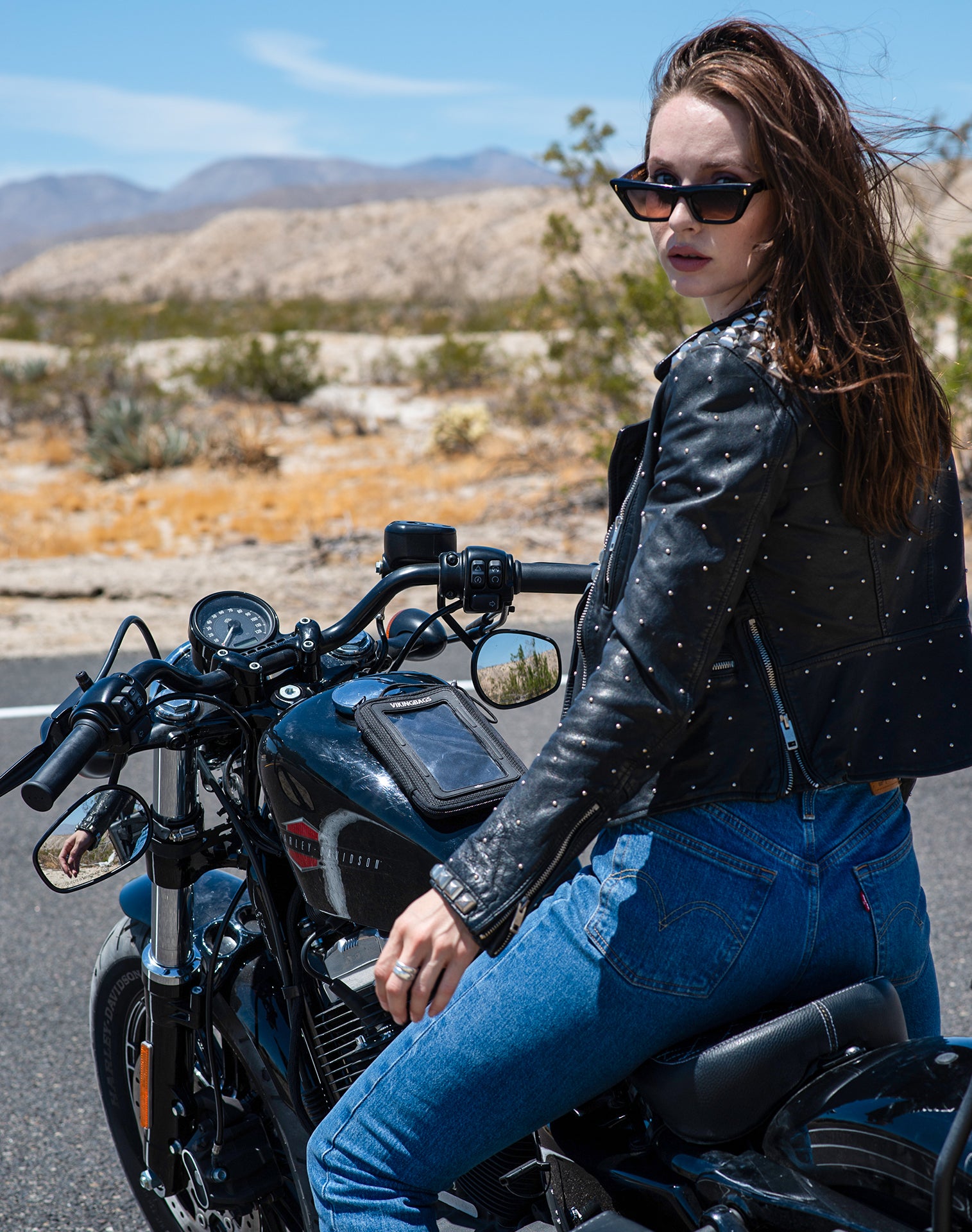 Viking Magnetic Motorcycle Cafe Racer Tank Bag v1