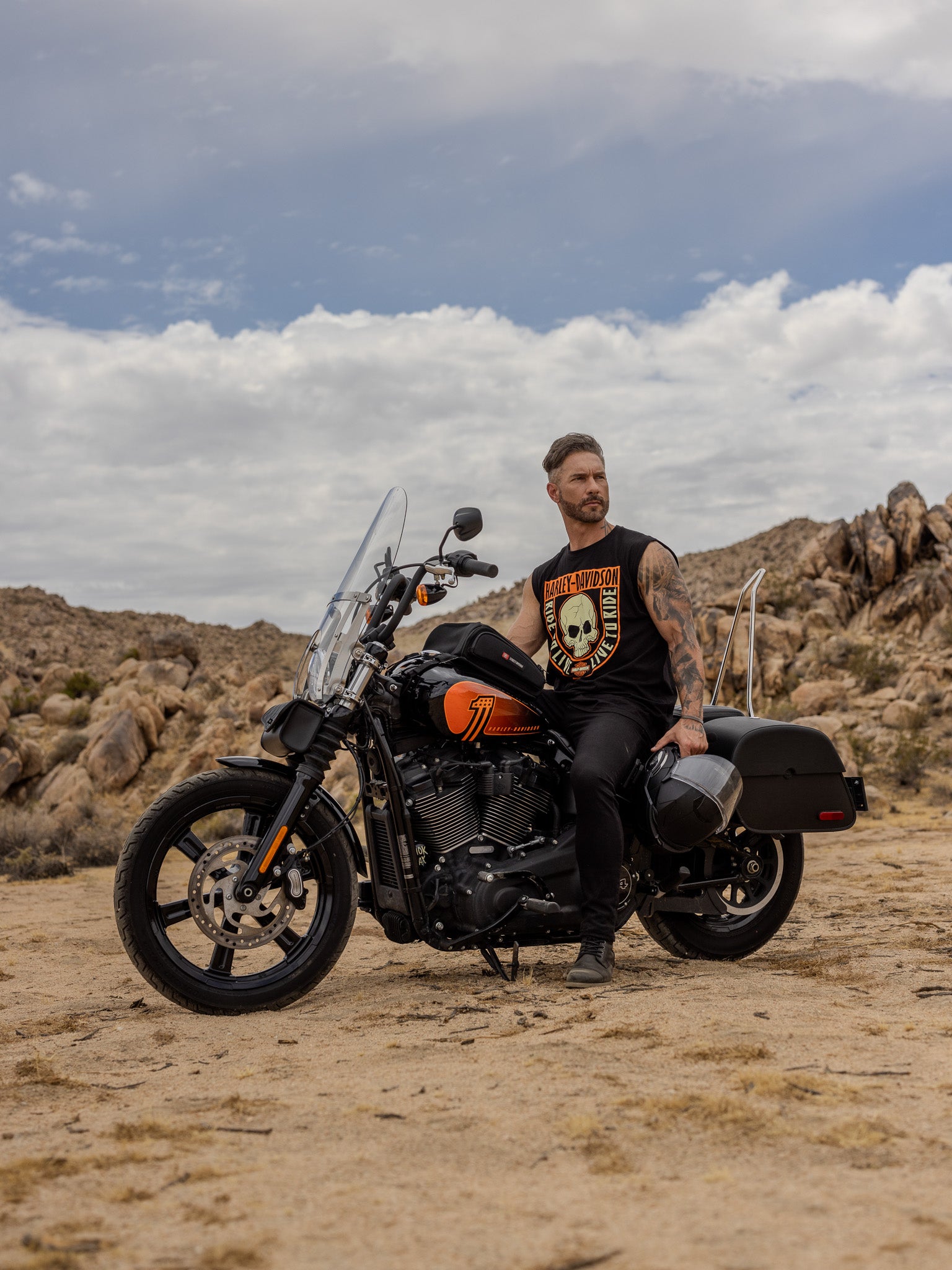 All Motorcycle Bags, Parts & Accessories for Harley Softail Cross Bones Vertical Banner