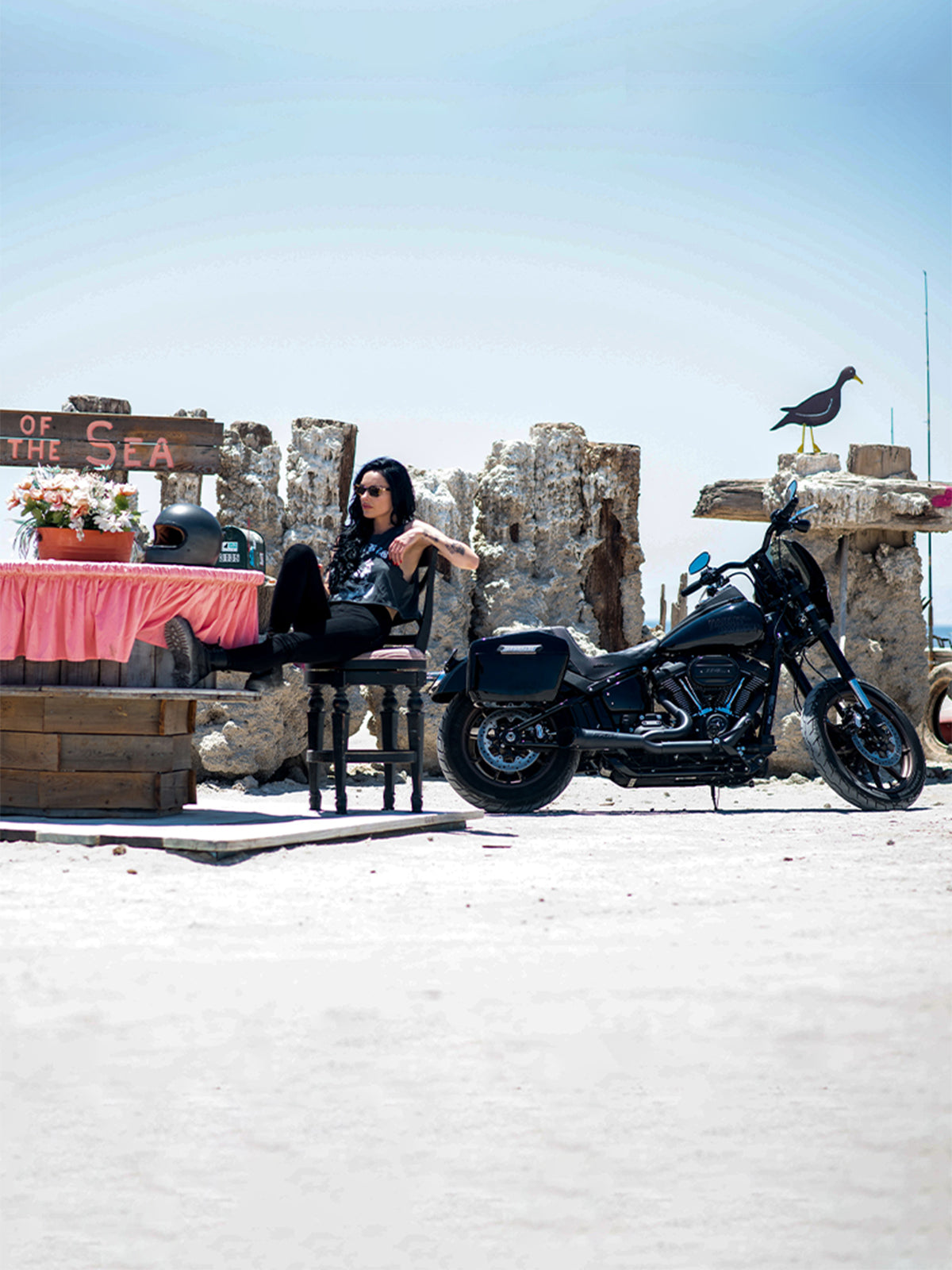 BackrestsSissy Bar Pads for Triumph Thunderbird Motorcycles Mobile