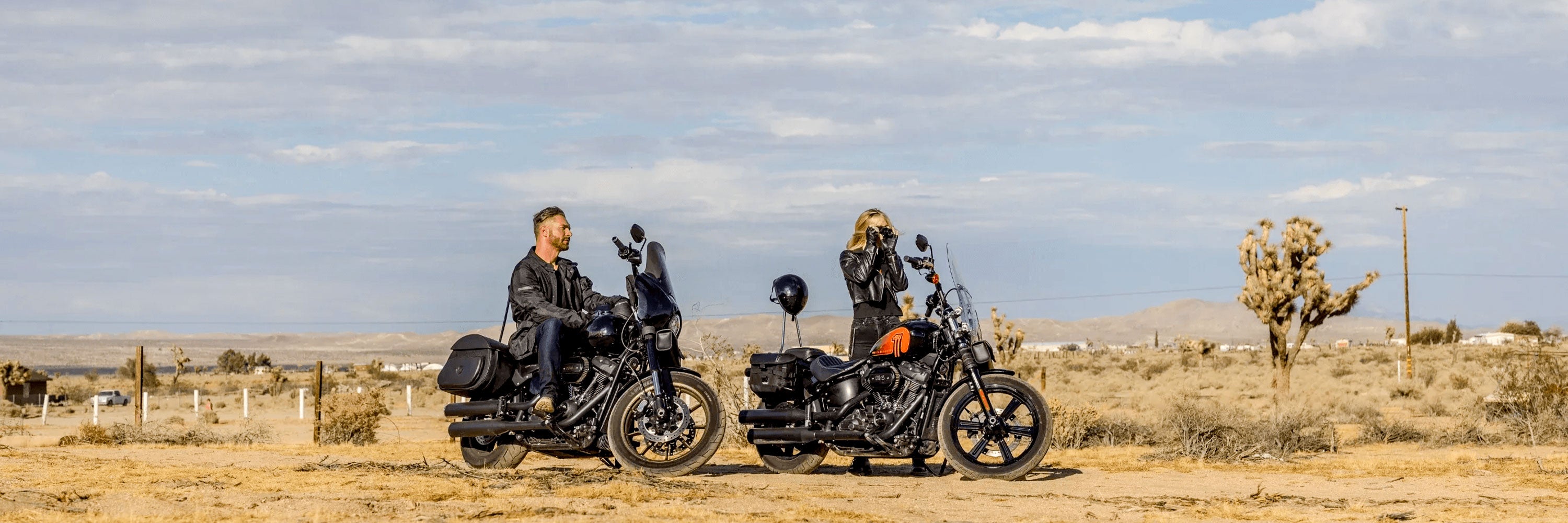 Harley Davidson Saddlebags