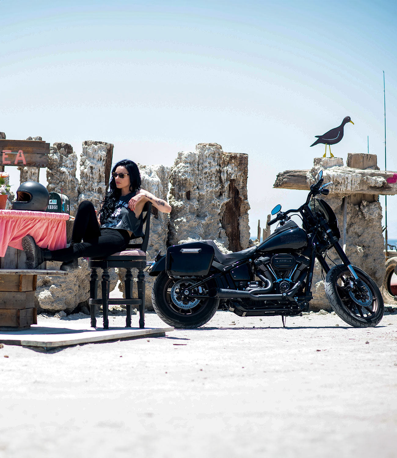 Indian Vintage Saddlebags