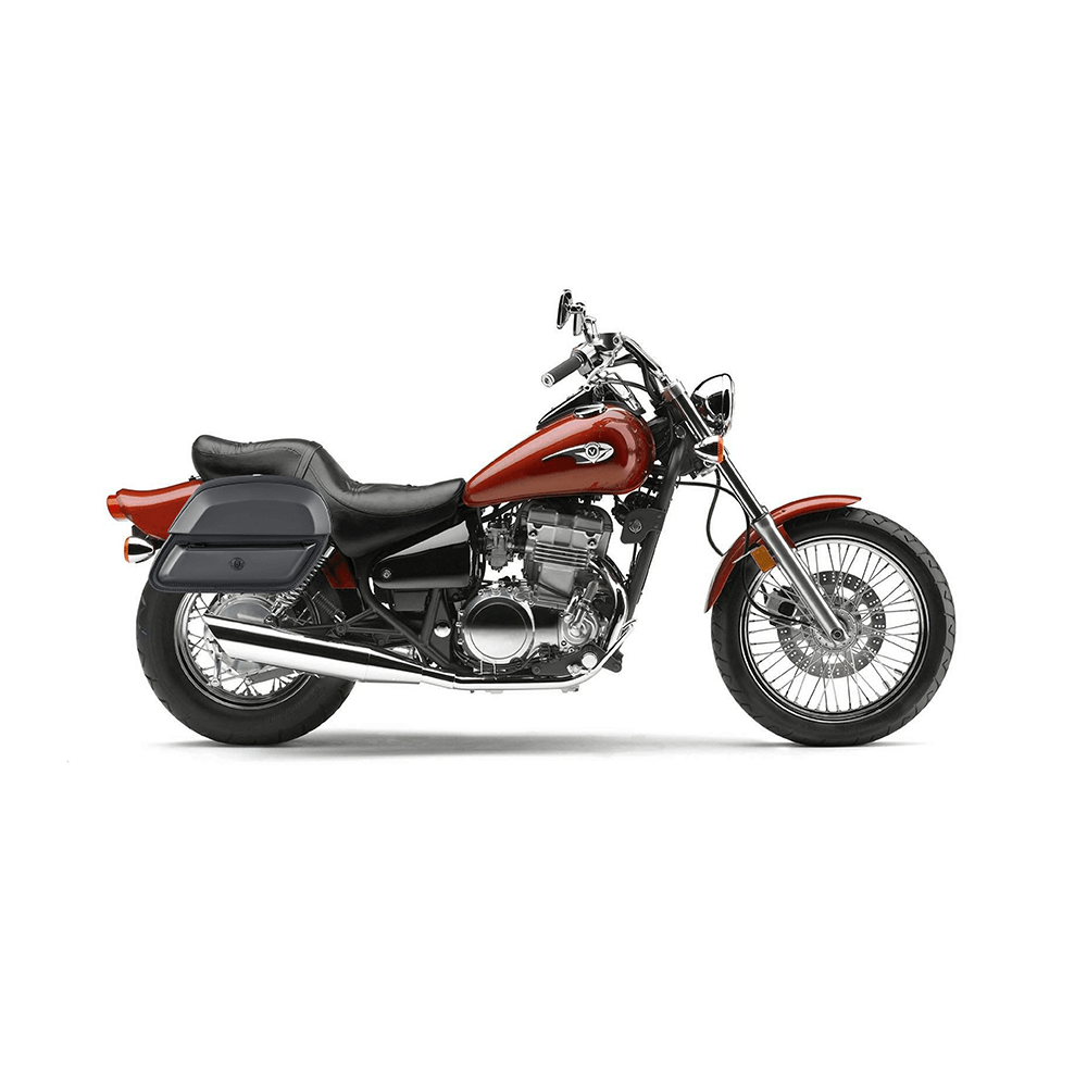 Saddlebags for Kawasaki Vulcan 500, EN500 Motorcycle