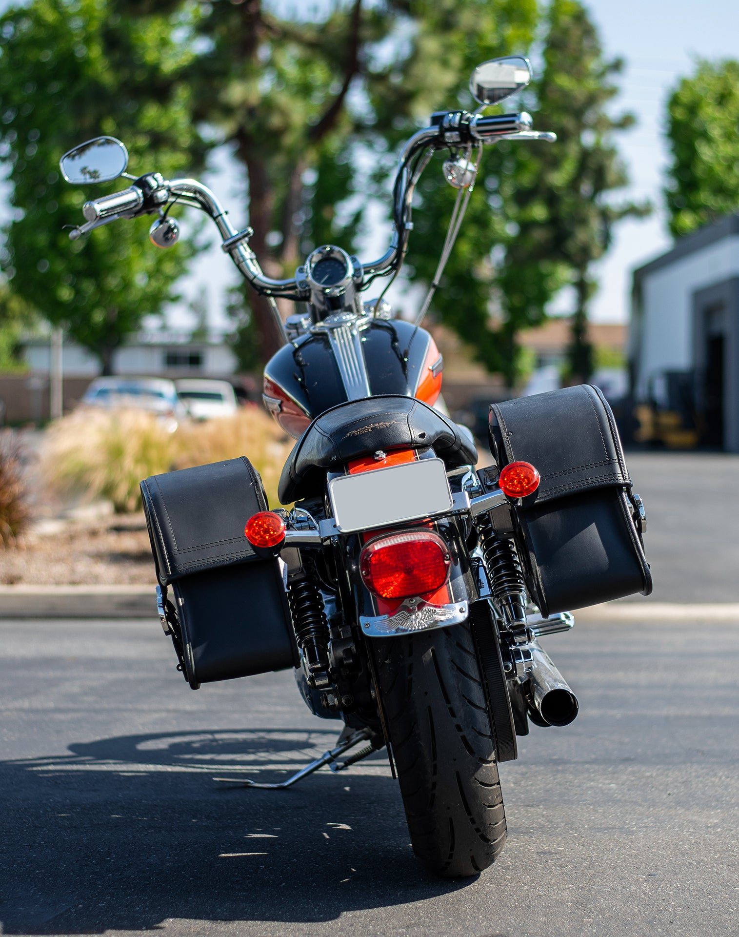 Viking Saddlebags Quick Disconnect System For Harley Davidson Sportster v1