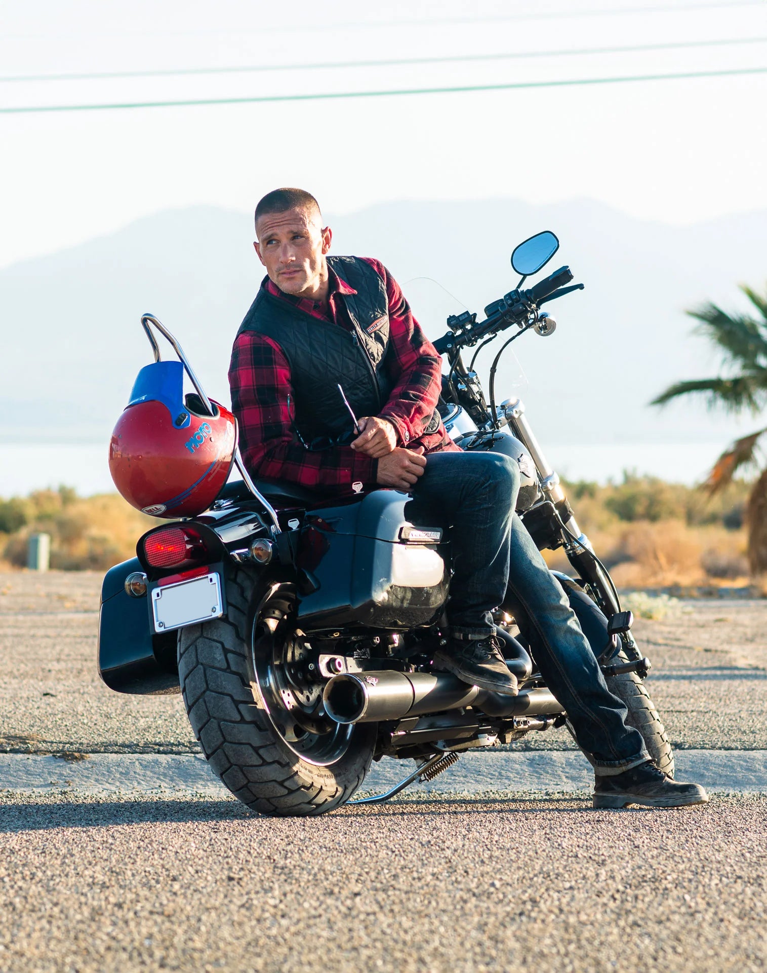 Harley Davidson Dyna Switchback FLD Sissy Bars Vertical Banner