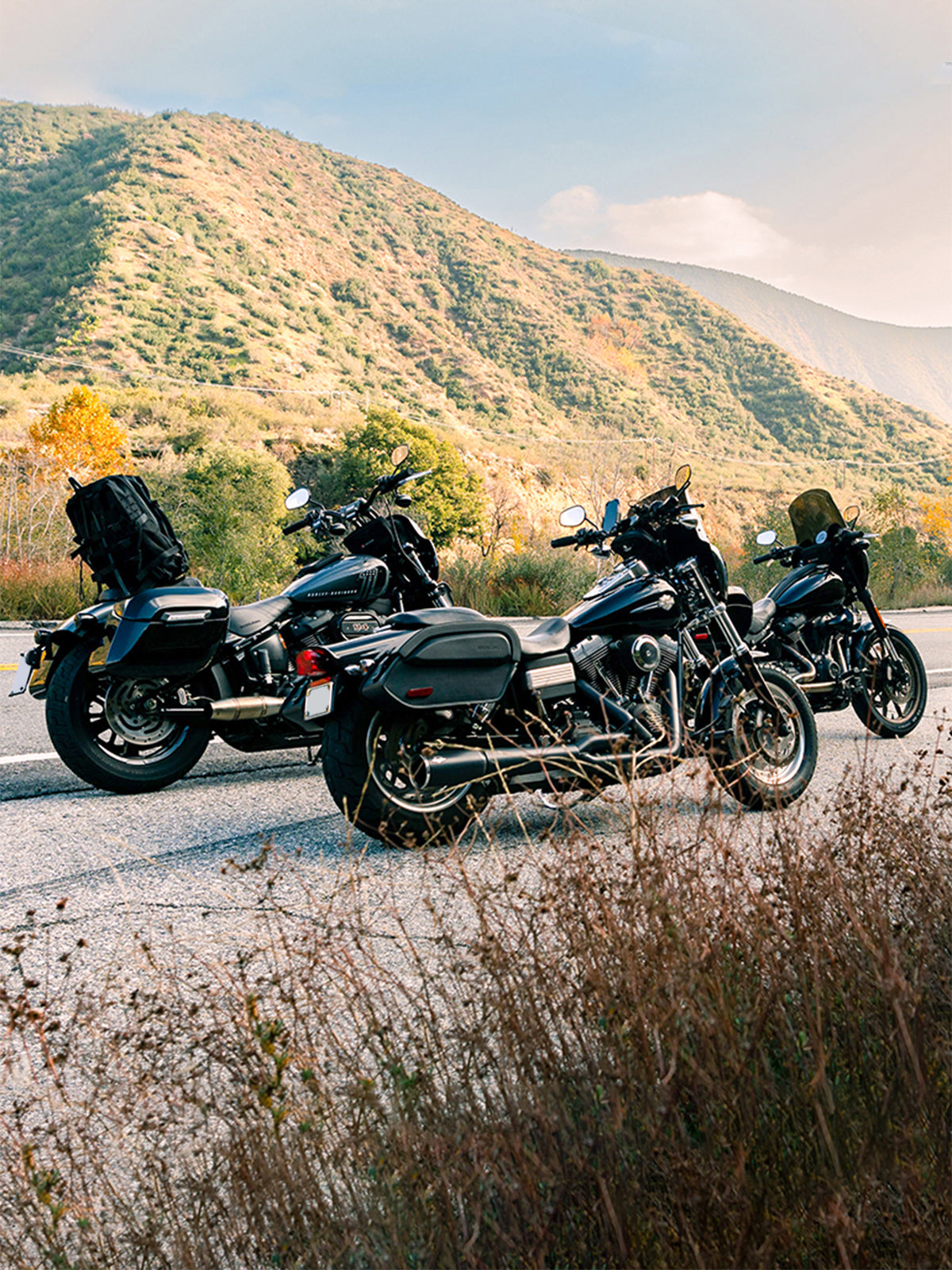 Harley Davidson Softail Breakout 114 FXBR/S Sissy Bars Mobile Images