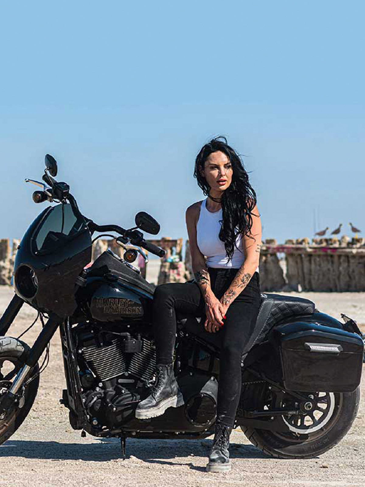 Handlebars for Harley Davidson Softail Low Rider verticle