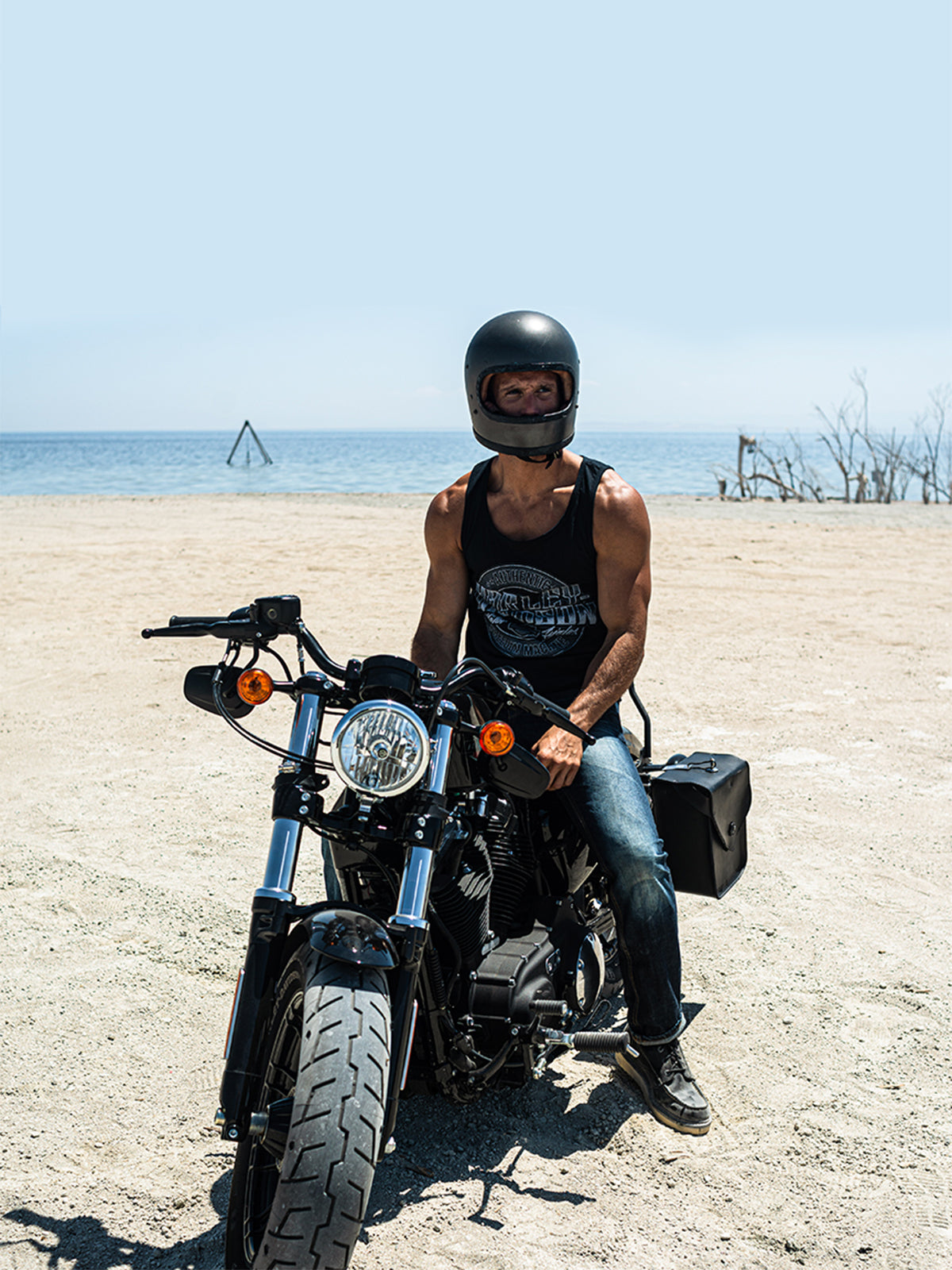 Handlebars for Harley Davidson Sportster 883 Low verticle