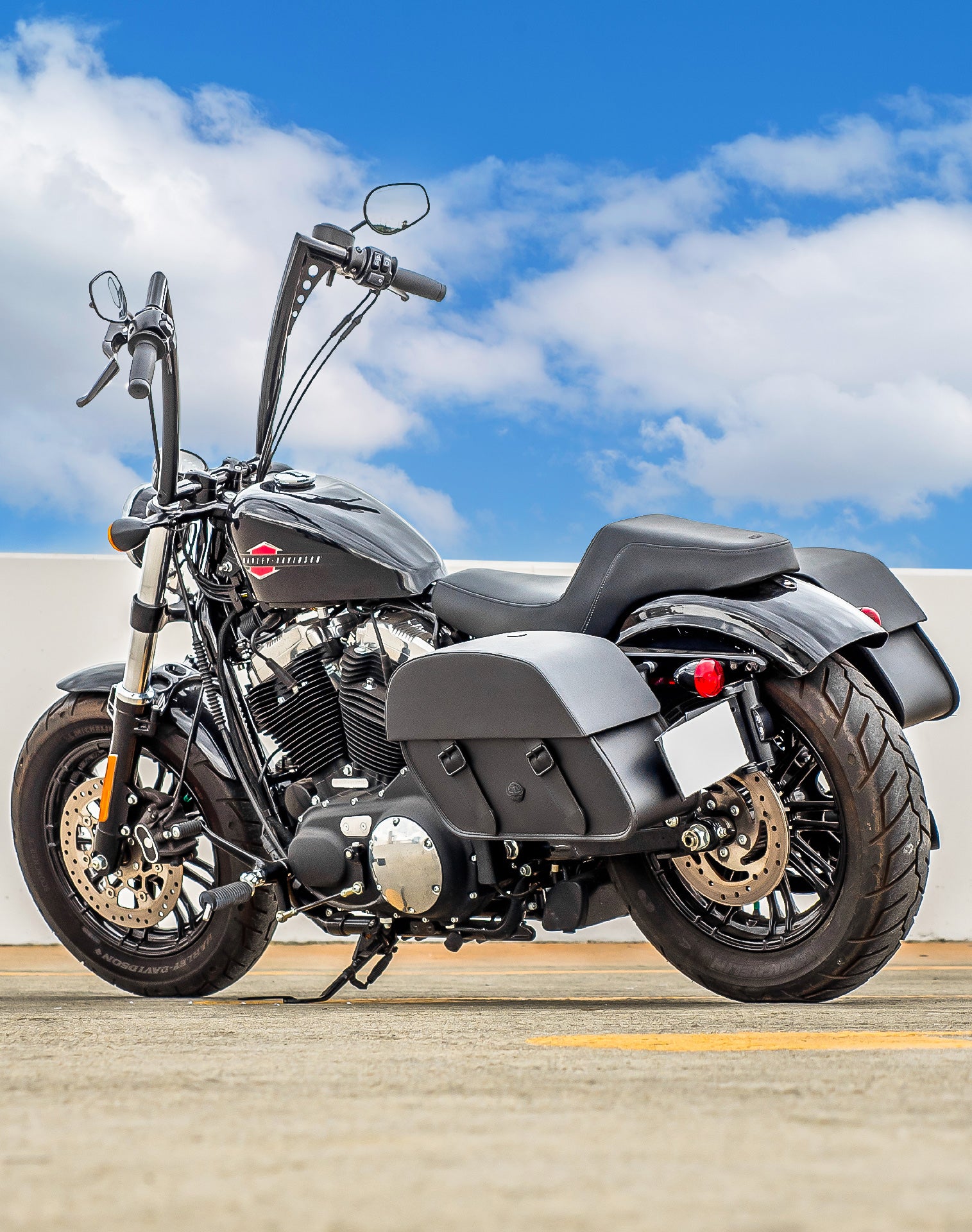 Harley Davidson Sportster Forty Eight 48 XL1200X Saddlebags