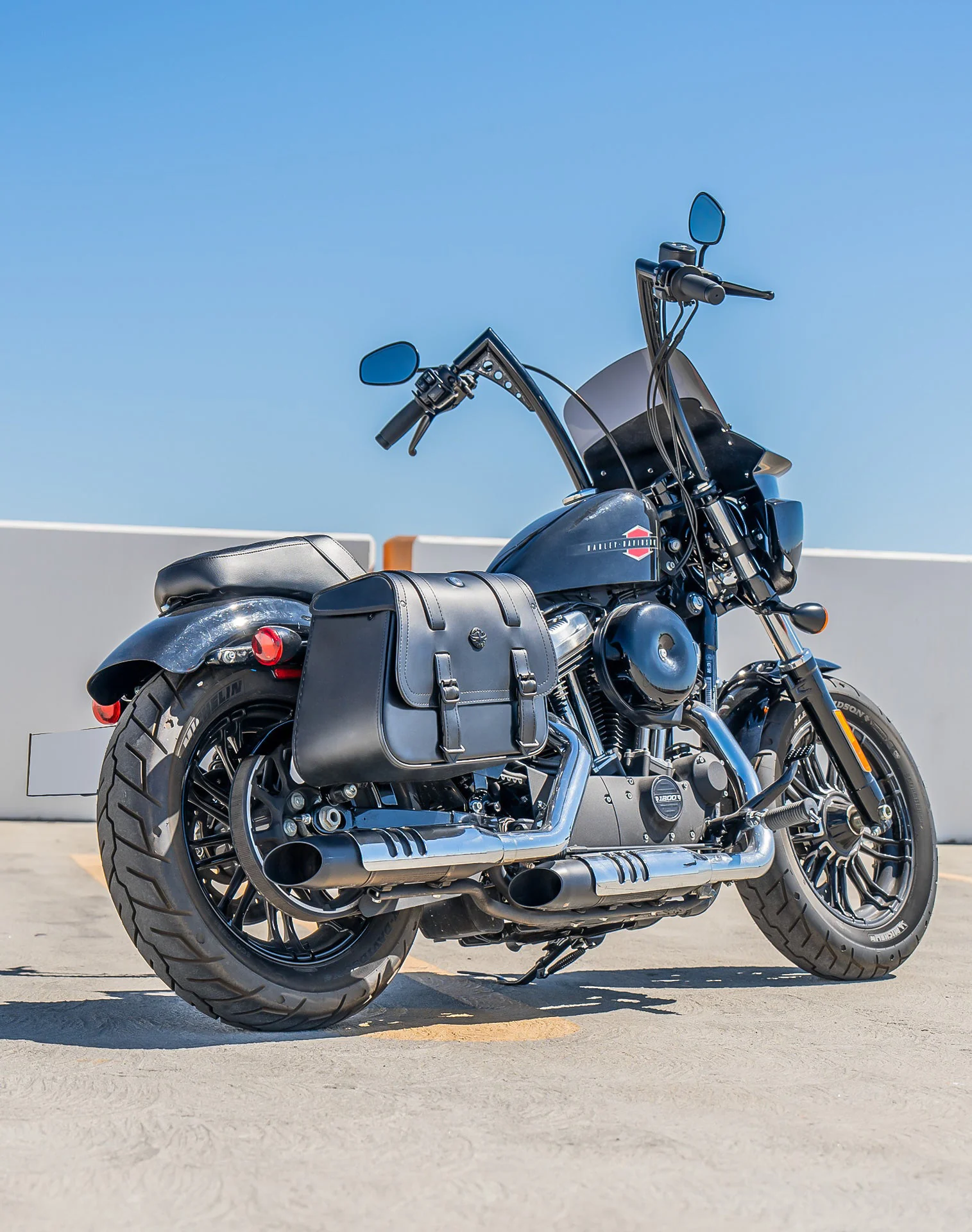 Harley Davidson Sportster Forty Eight 48 XL1200X Saddlebags