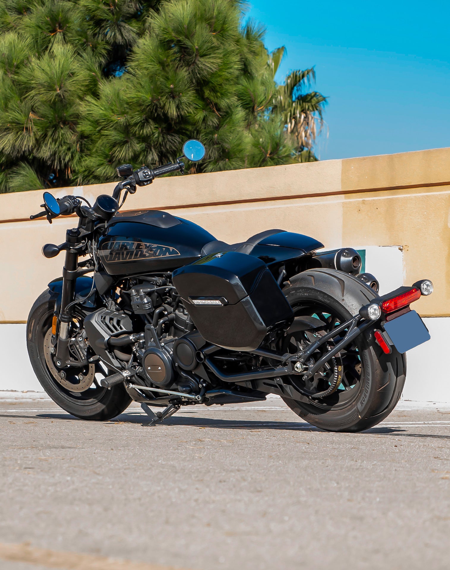 Hard Saddlebags for Harley Davidson Sportster Vertical Banner