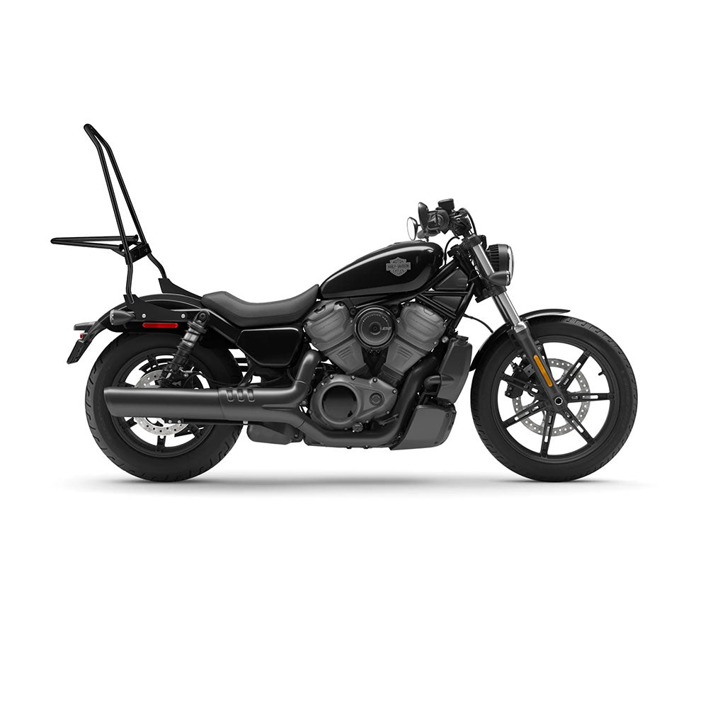 harley davidson sportster motorcycle sissy bars 2024