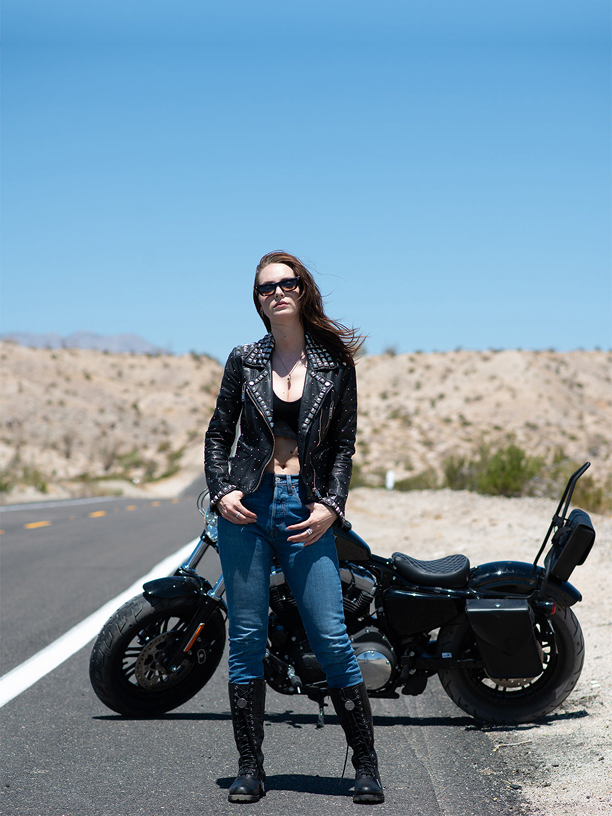 Sissy Bars for Harley Davidson Sportster Super Low Vertical