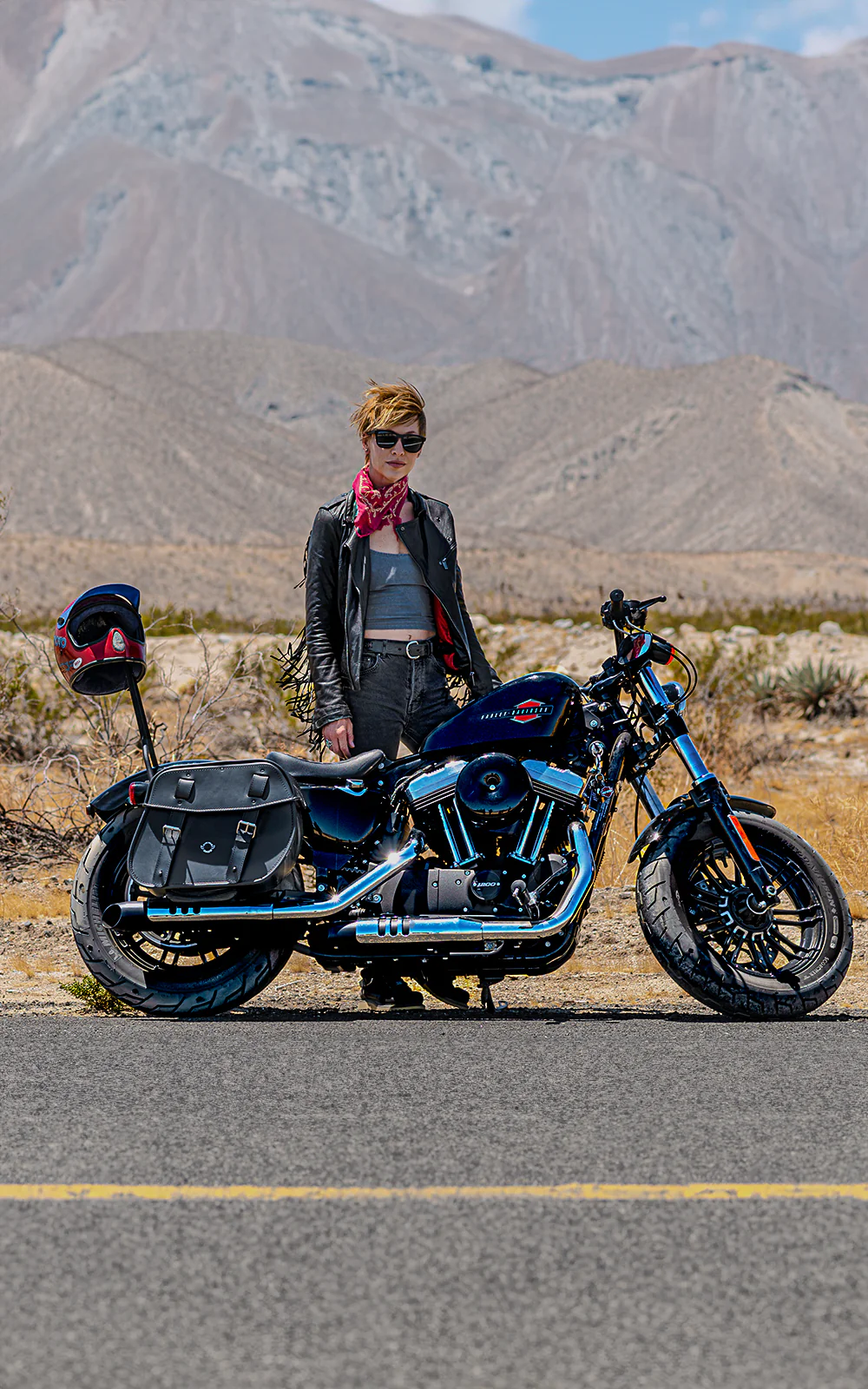 All Motorcycle Bags, Parts & Accessories for Harley Sportster Super Low XL883L