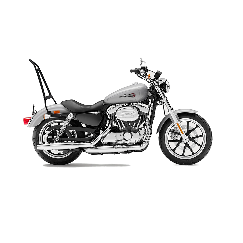 harley davidson sportster super low xl883l sissy bars