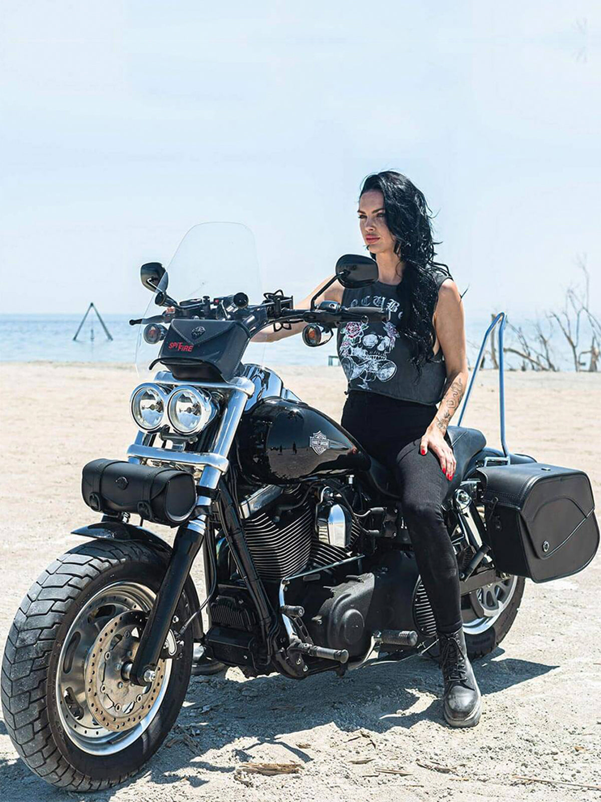 Sissy Bars for Honda Rebel 500 ABS Vertical