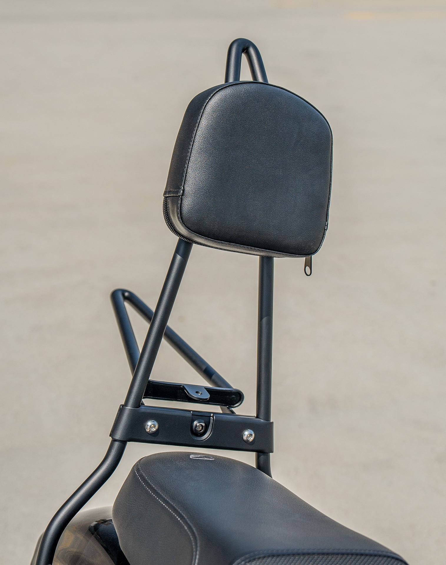 Iron Born Sissy Bar with Foldable Luggage Rack for Harley Sportster Forty Eight Matte Black v4