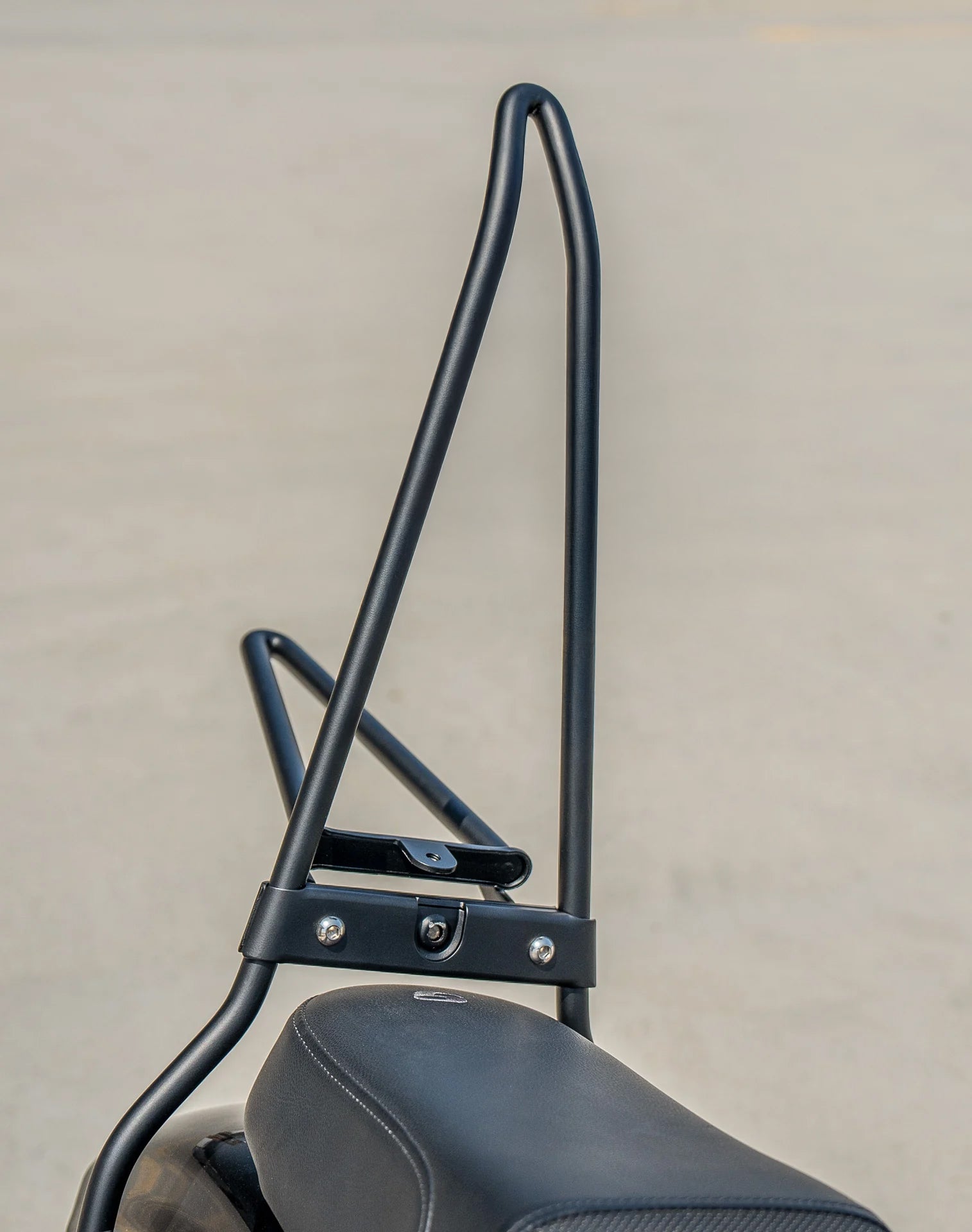 Iron Born Blade 25" Sissy Bar with Foldable Luggage Rack for Harley Sportster Forty Eight Matte Black