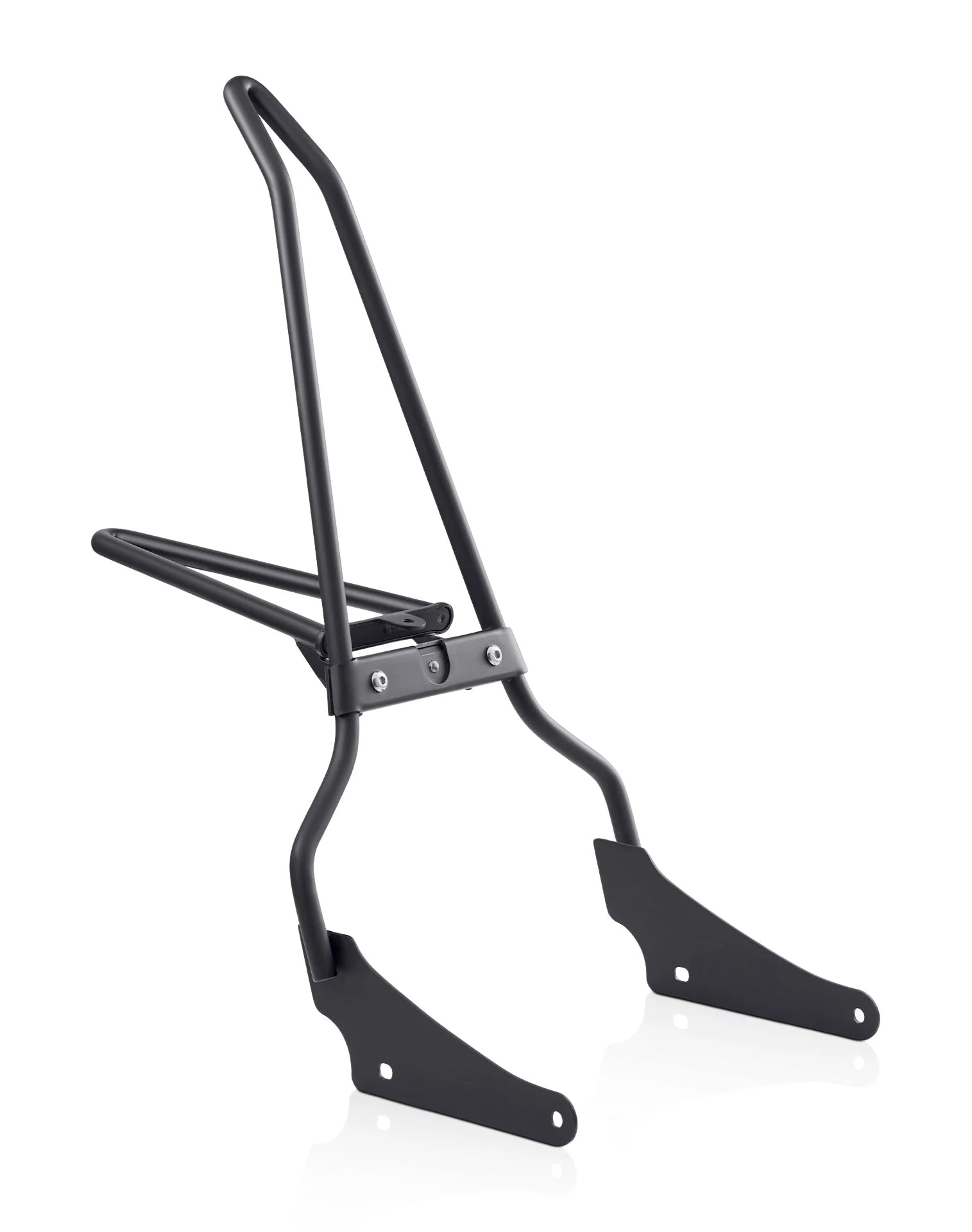 Iron Born Sissy Bar with Foldable Luggage Rack for Harley Sportster Nightster RH975/S Matte Black Main View