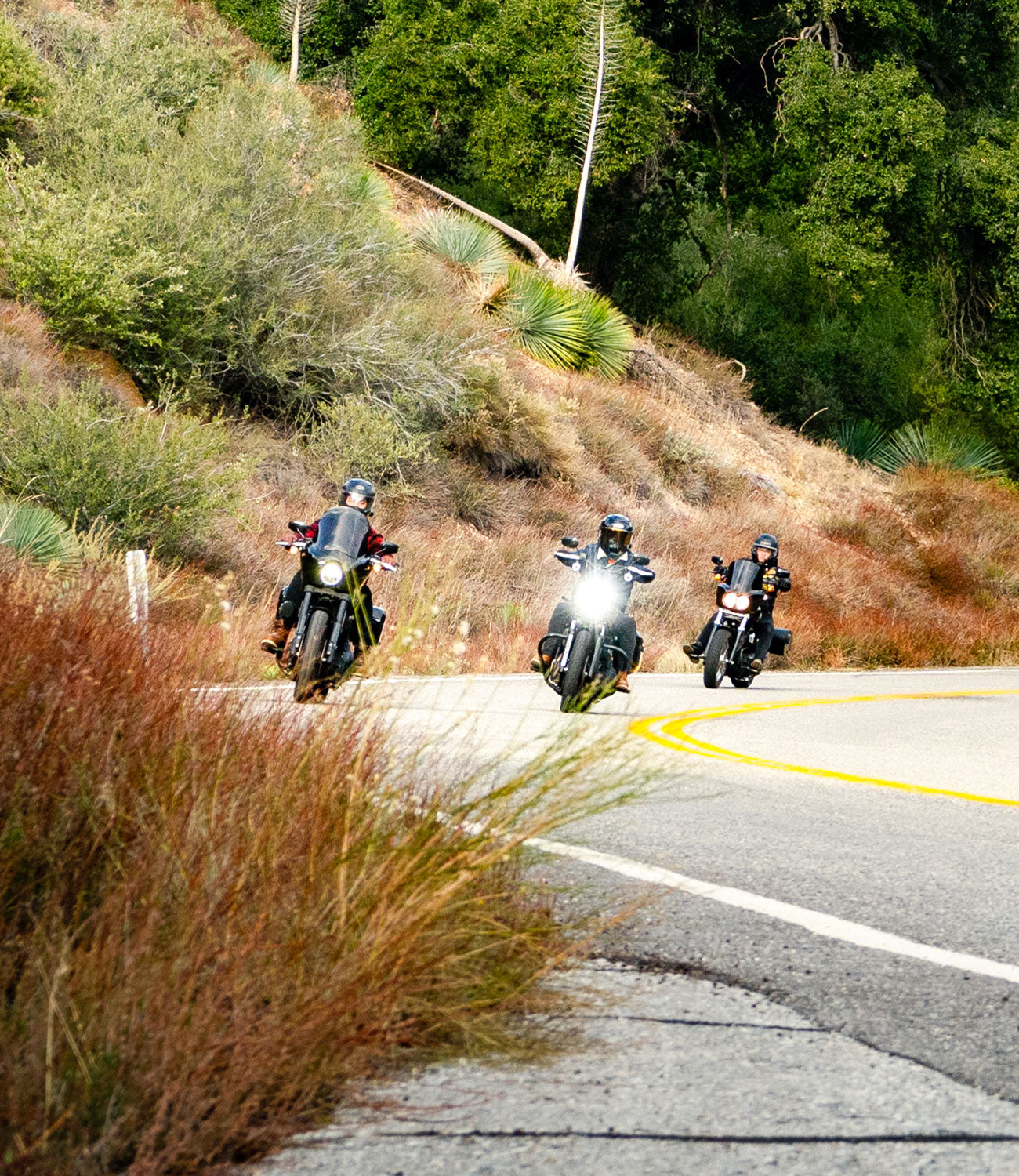 Motorcycle Cooler Bags