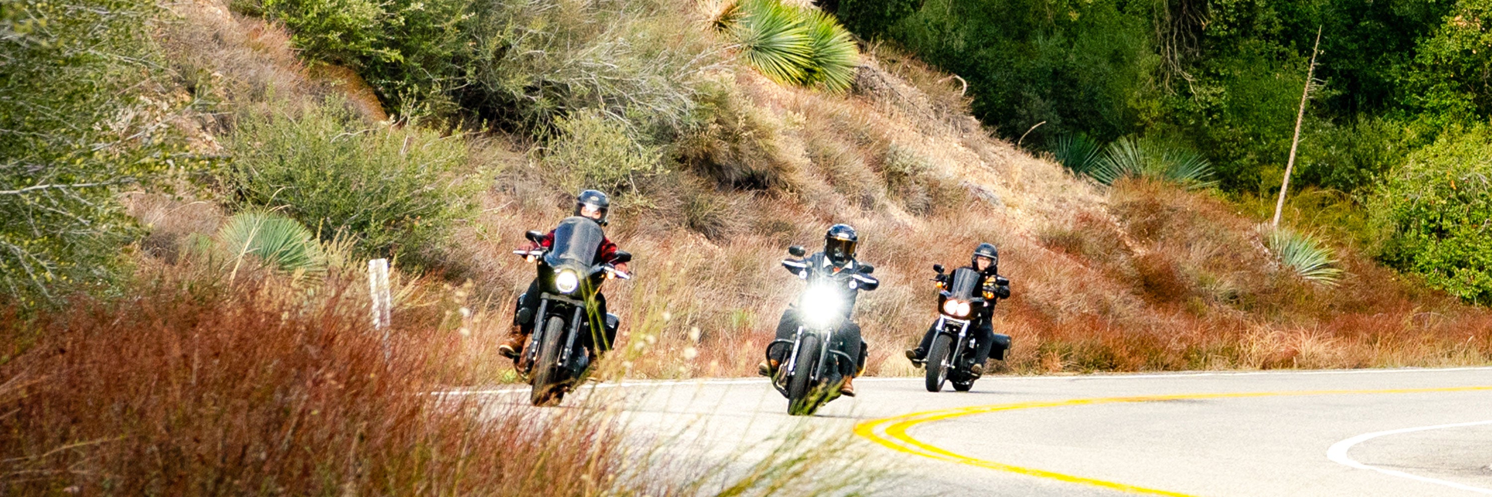 Motorcycle Cooler Bags