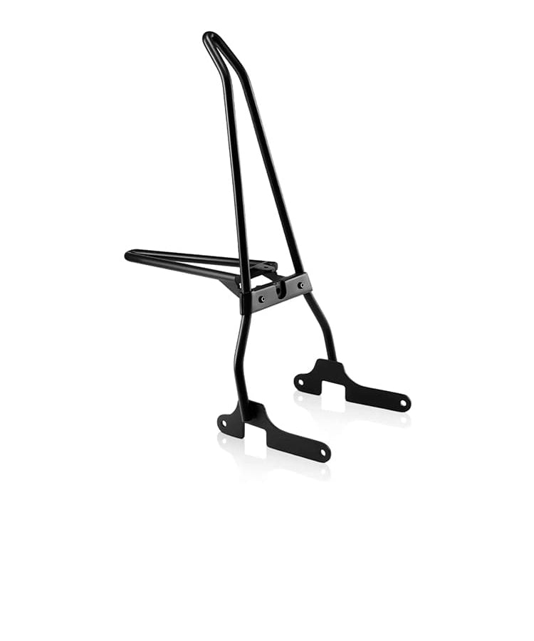 popular sissy bars for harley sportster saddlebags