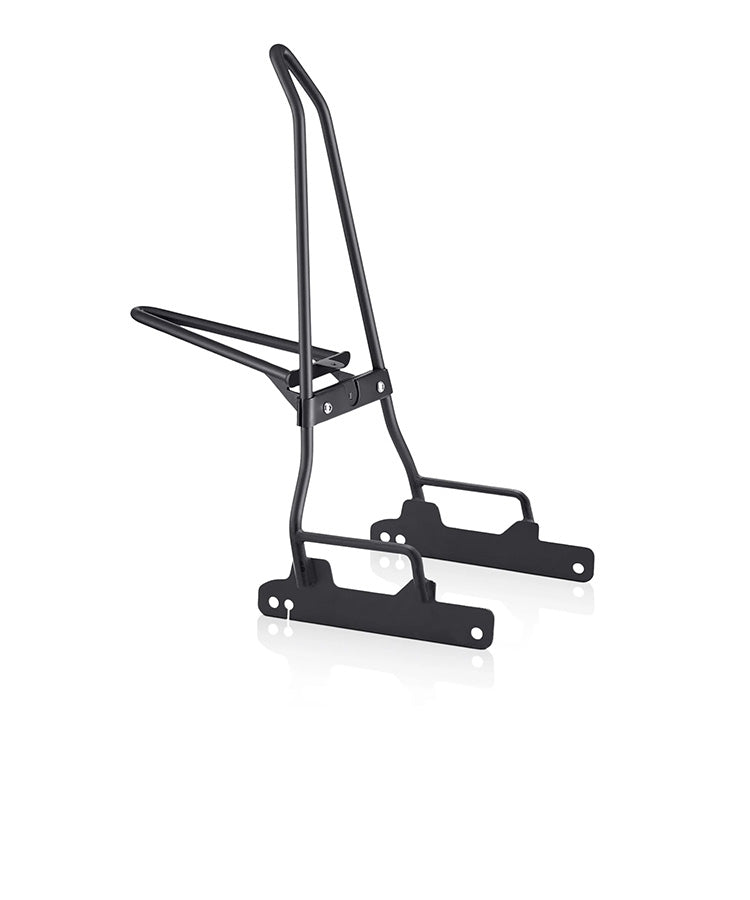 Popular Sissy Bars For Harley Dyna