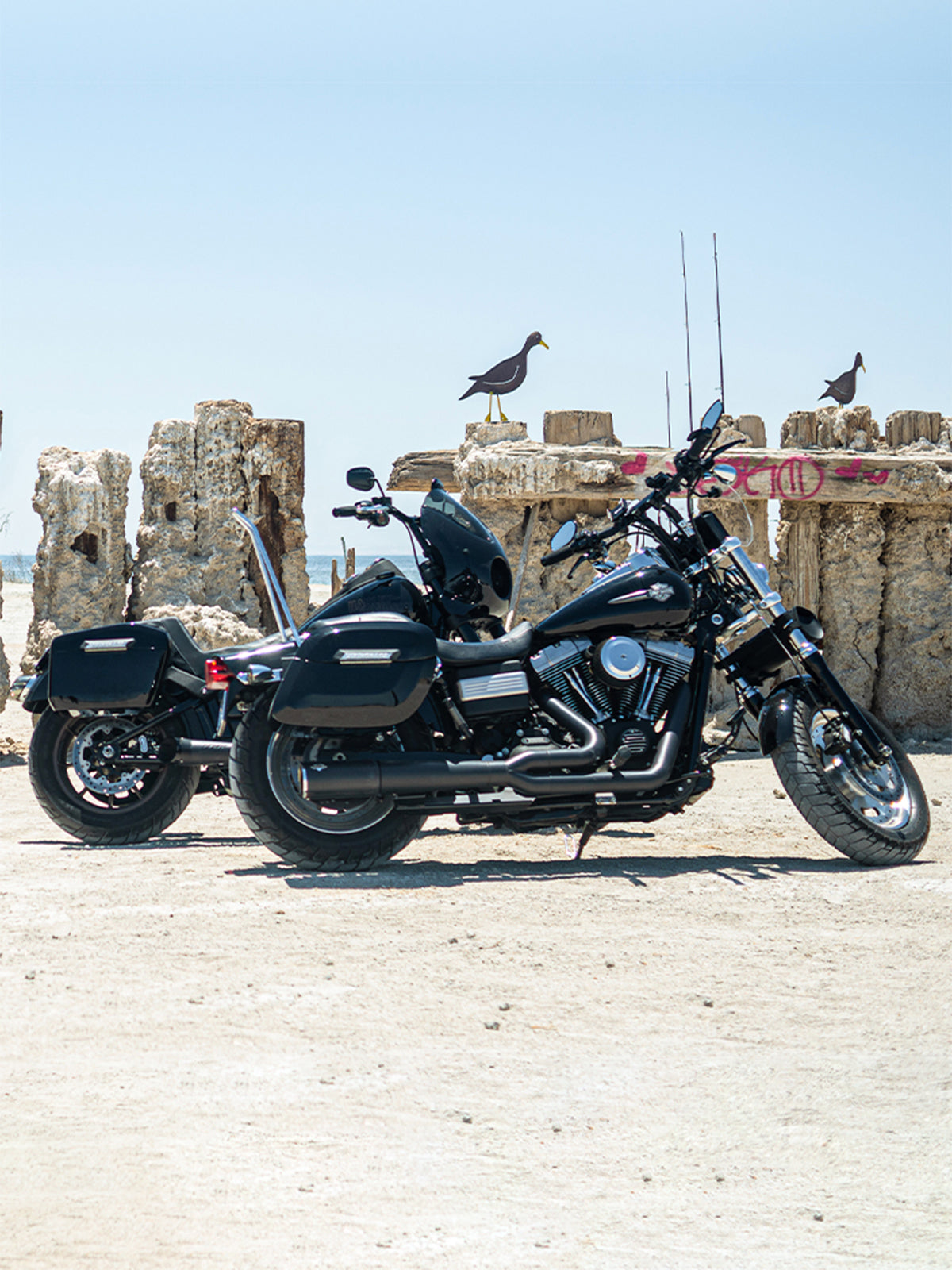 Suzuki Boulevard C109 Saddlebags