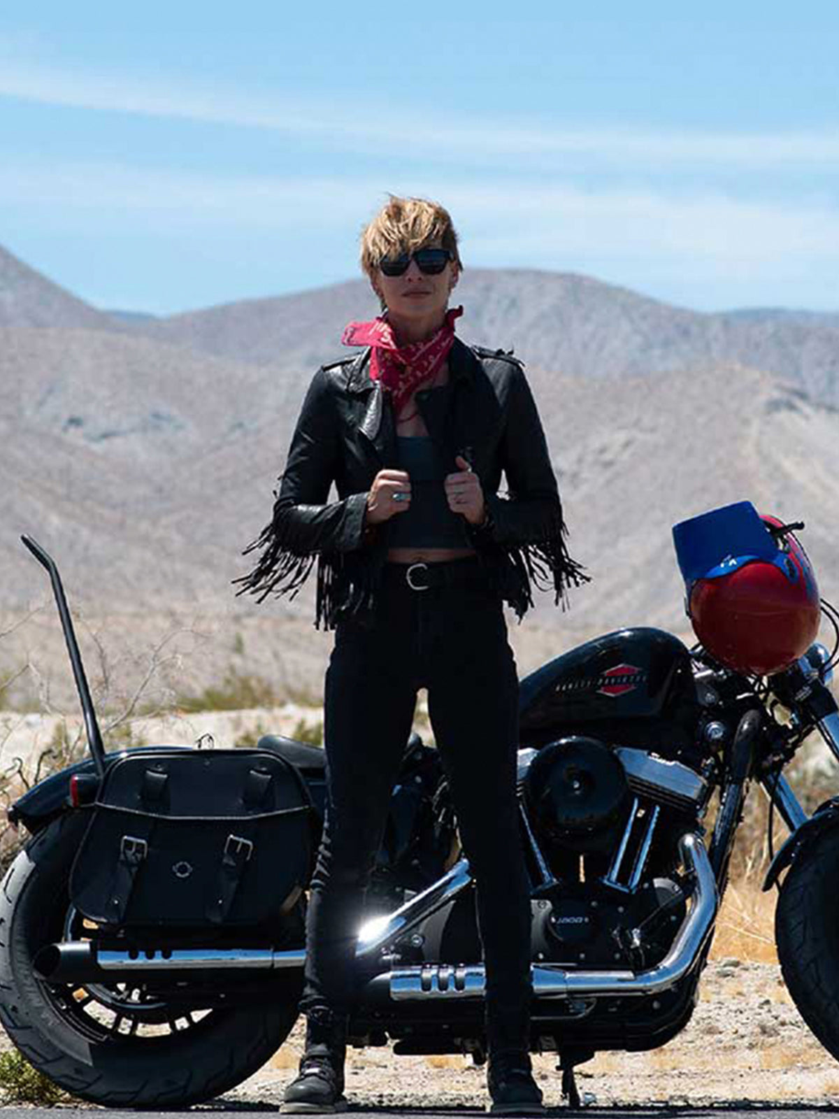 Saddlebags for Suzuki Marauder Vertical