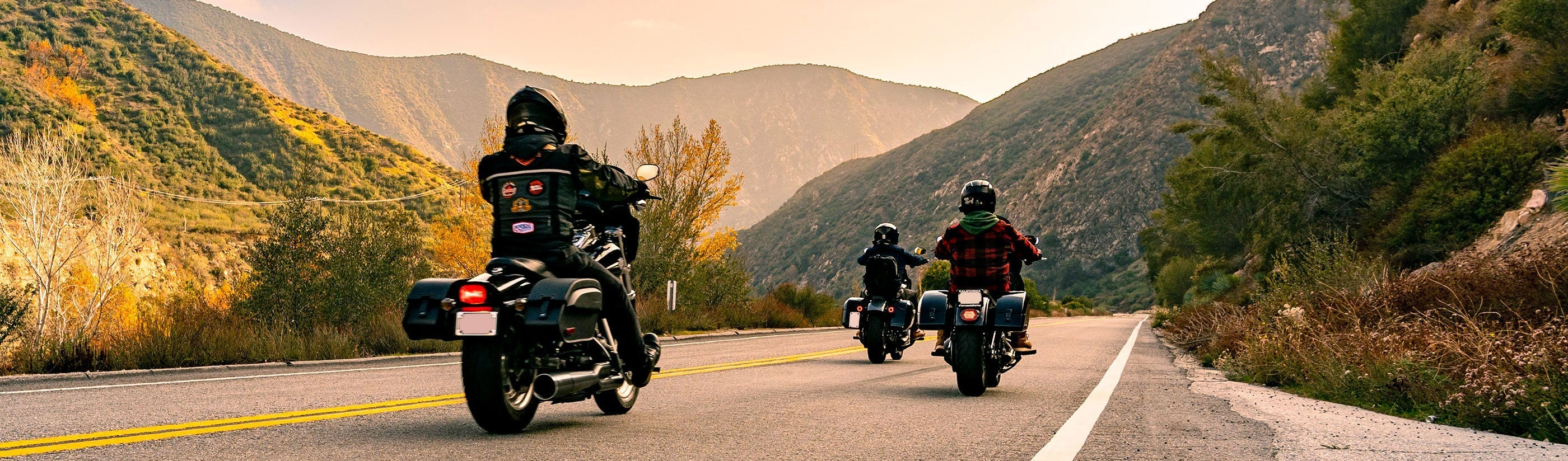 Triumph Motorcycle Seats