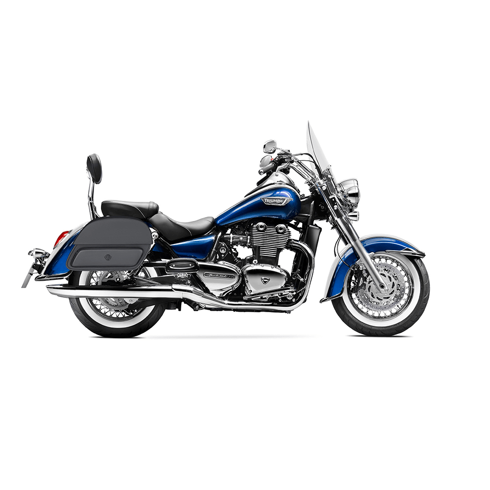 bags, parts and accessories for triumph thunderbird lt motorcycle