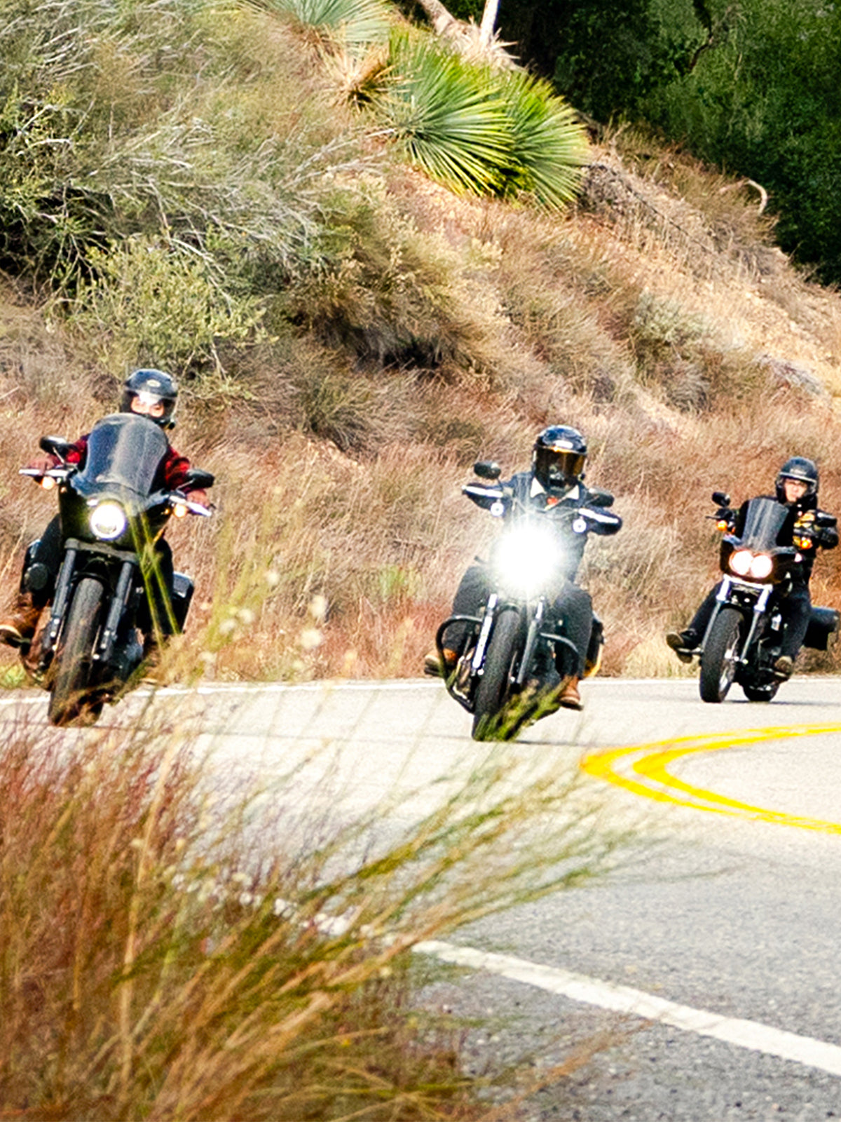 Victory Hammer Saddlebags