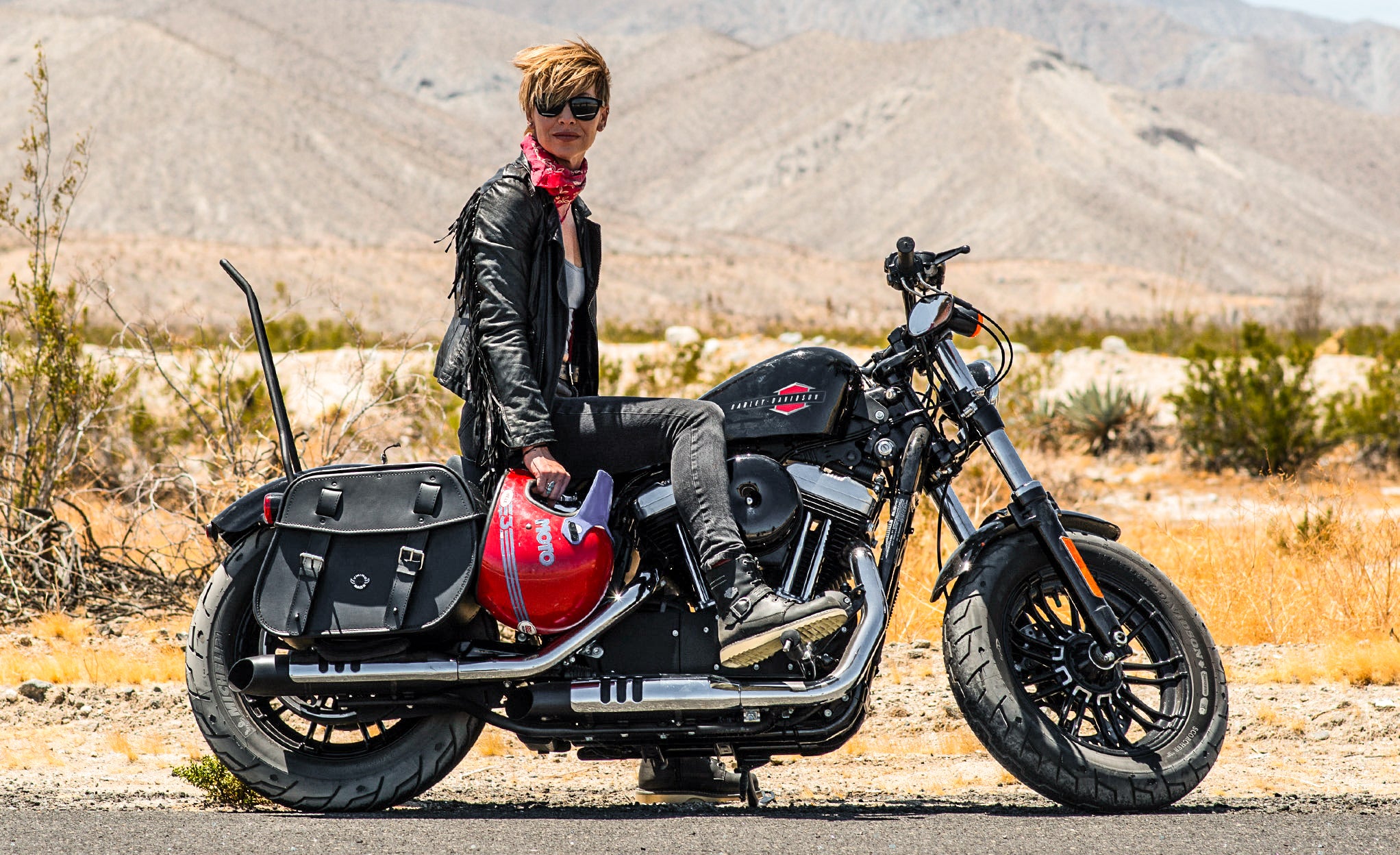 25L - Arch Large Shock Cutout Leather Motorcycle Saddlebags for Harley Sportster 48 XL1200X @expand