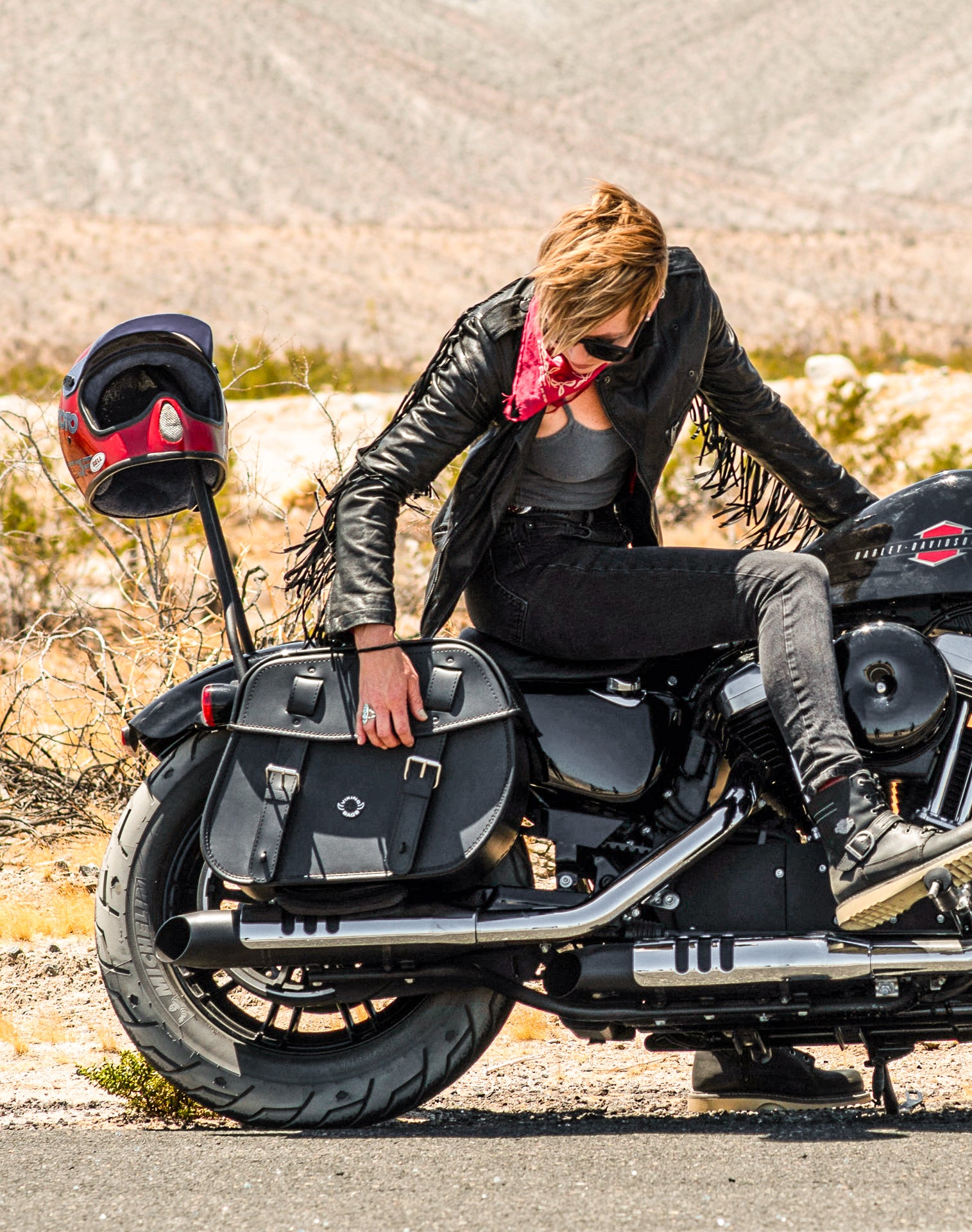 25L - Arch Large Shock Cutout Leather Motorcycle Saddlebags for Harley Sportster 48 XL1200X v3