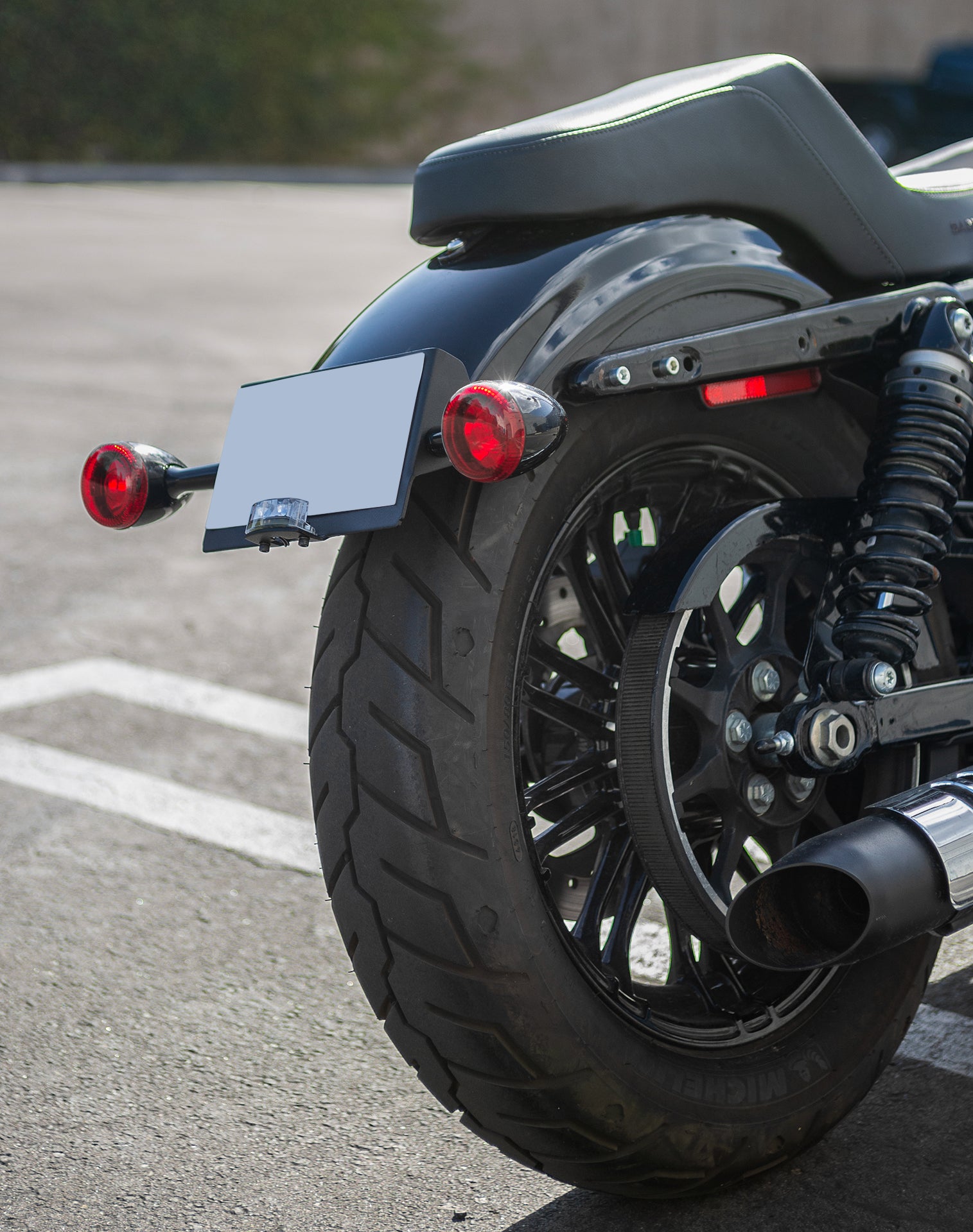 Viking License Plate and Turn Signal Relocation Kit For Harley Sportster (Side Mount Licence Plate) v1