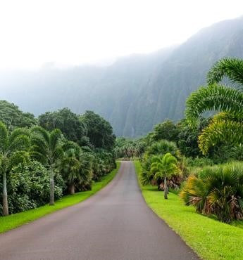Best Motorcycle Roads & Destinations in Hawaii, United States